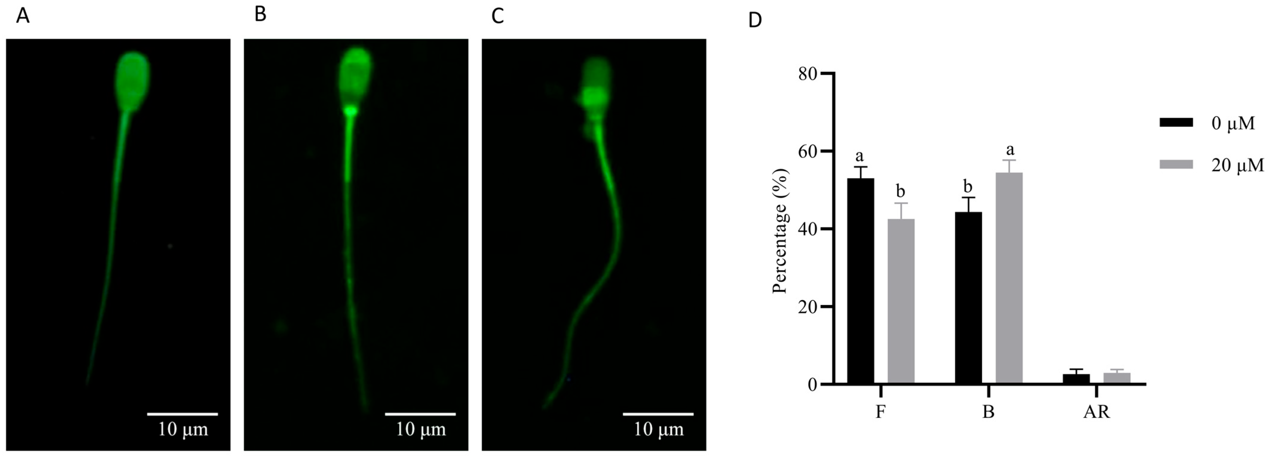 Animals 15 03383 g008