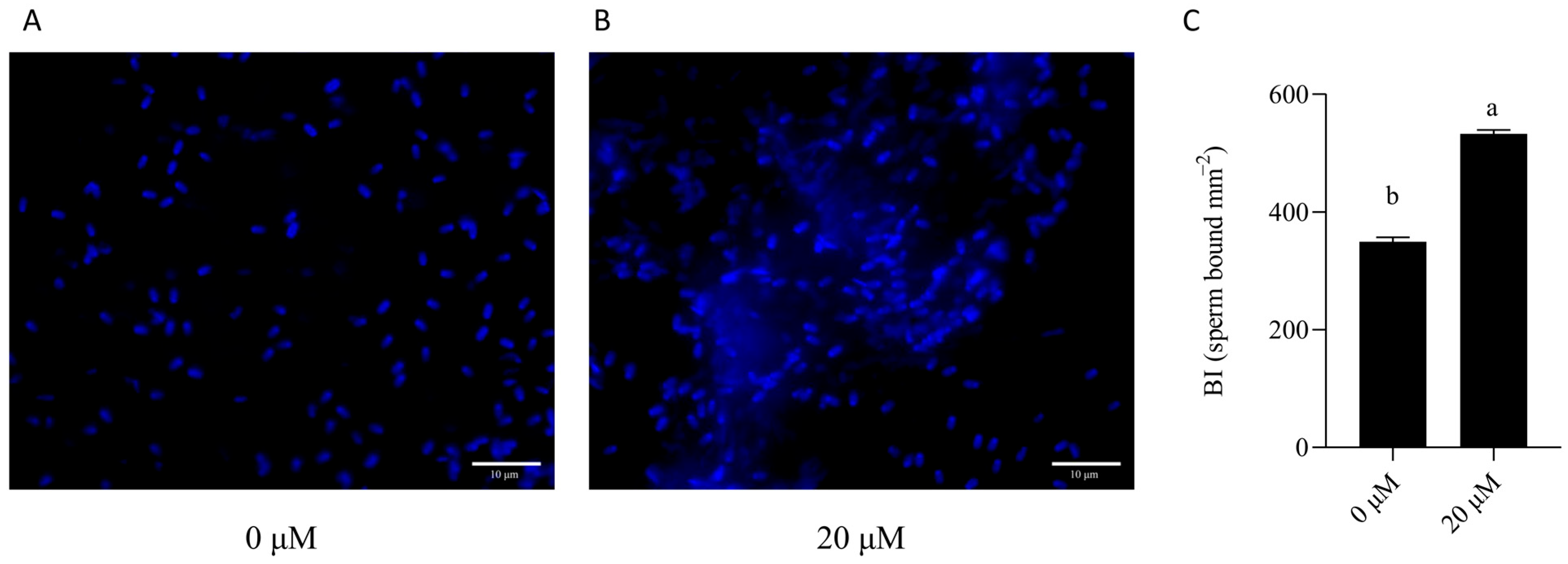 Animals 15 03383 g009