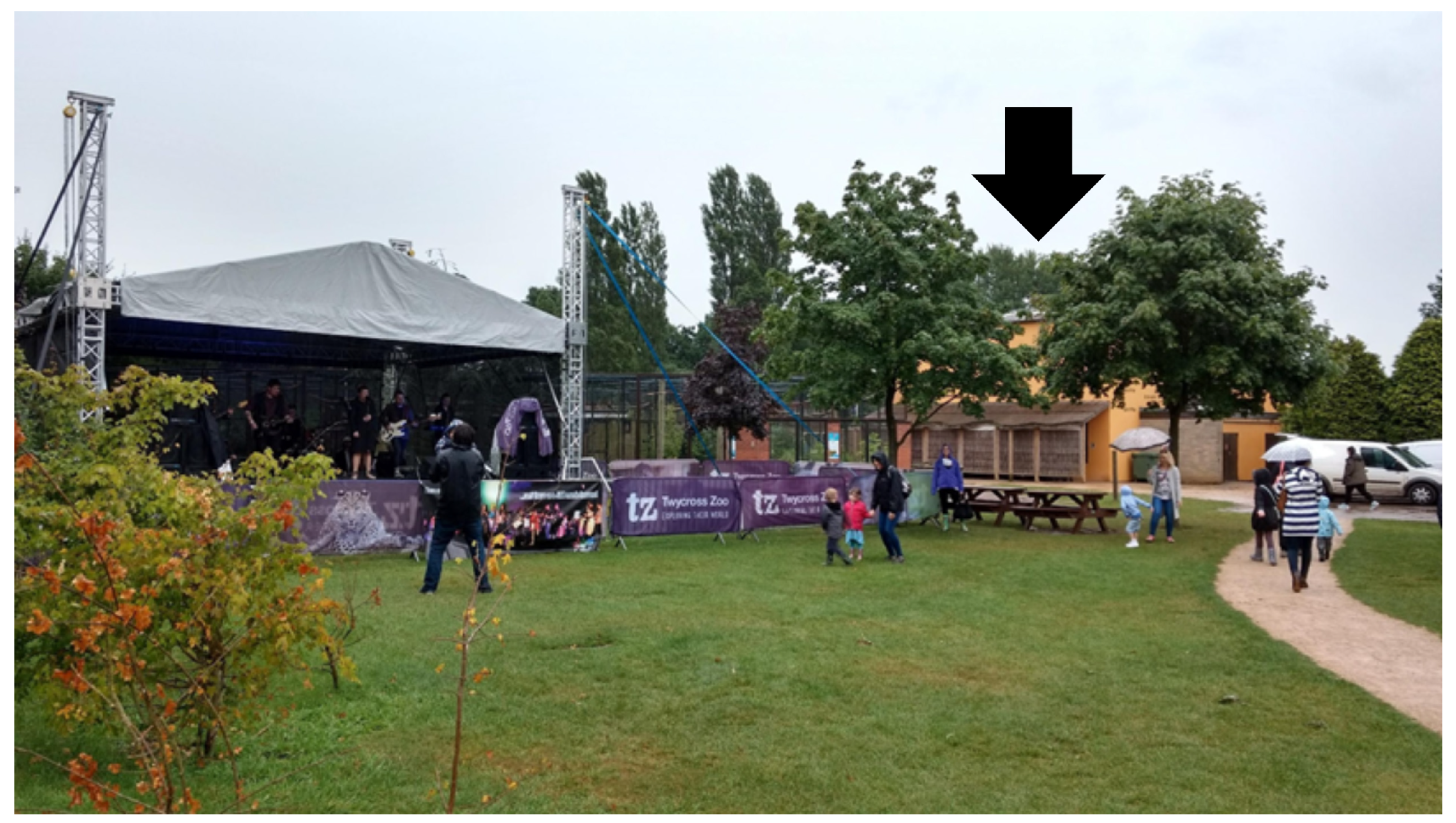 Animals 15 03384 g001