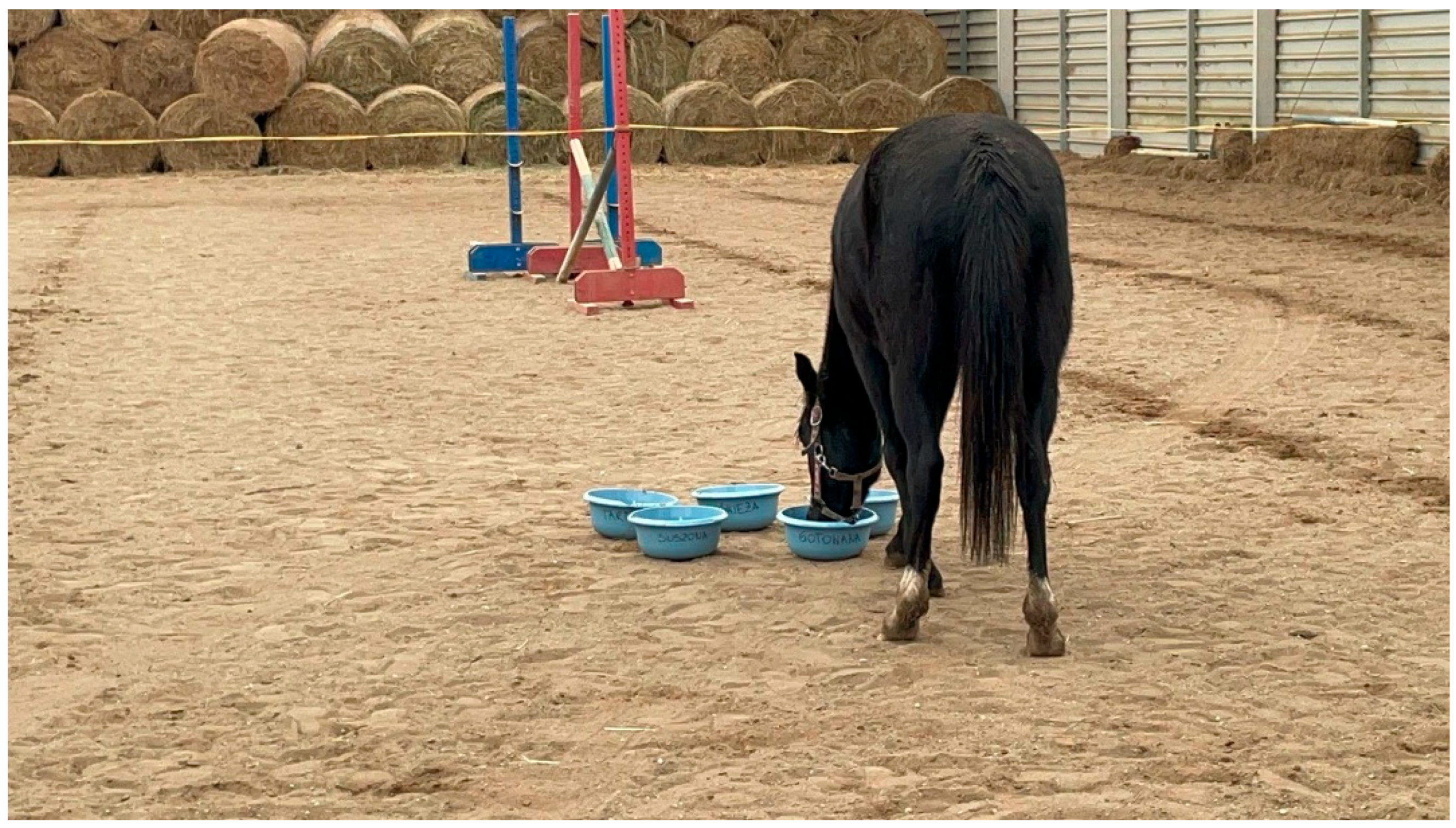 Animals 15 03385 g002