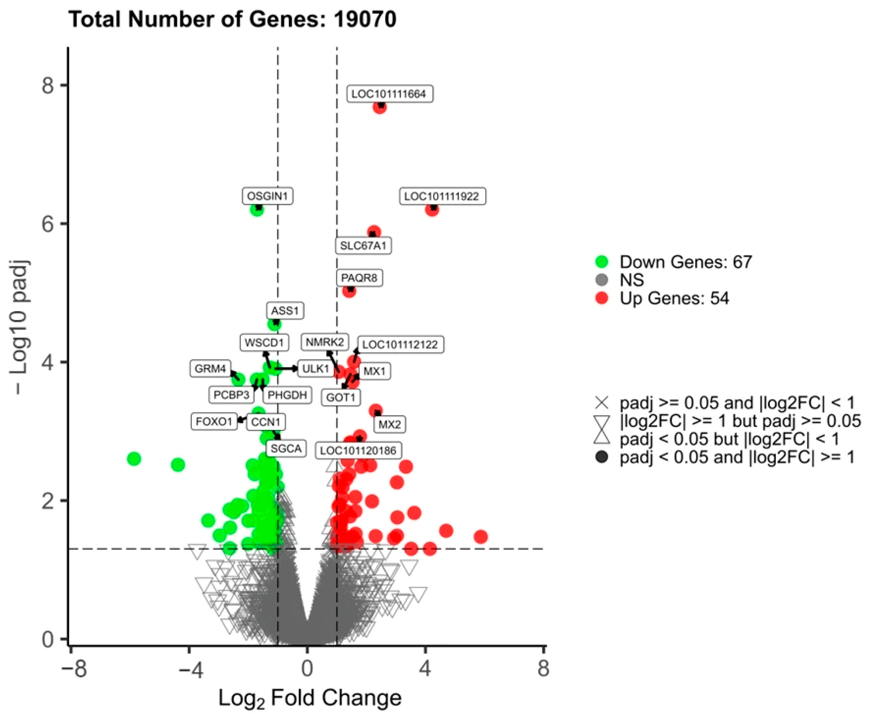 Animals 15 03387 g002