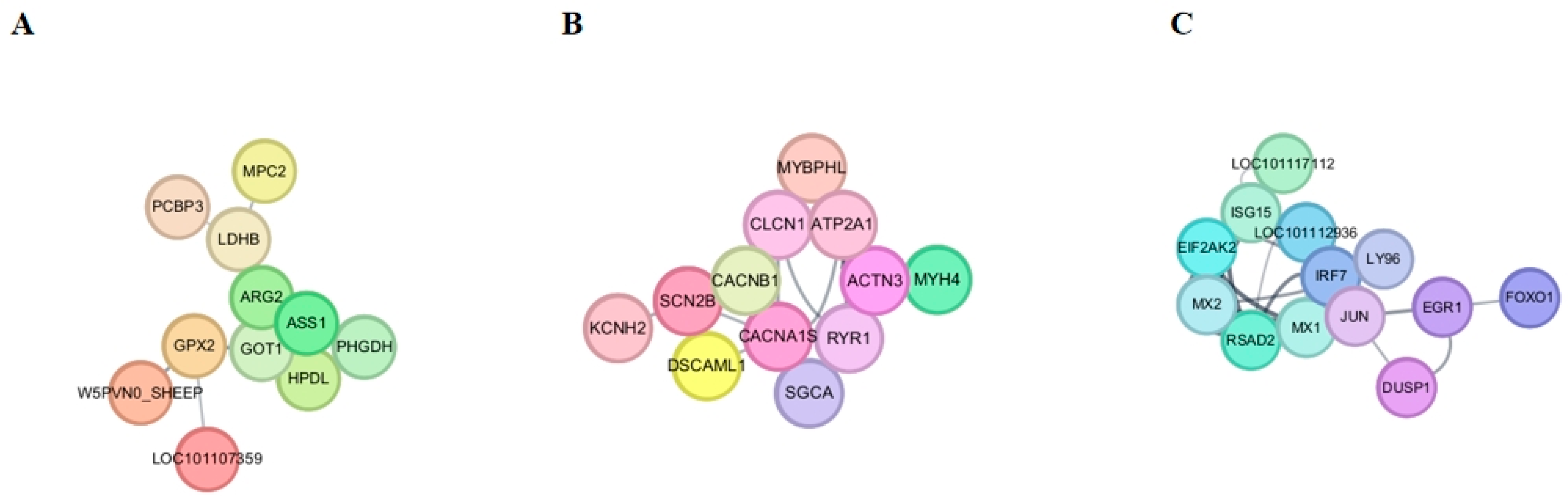 Animals 15 03387 g004