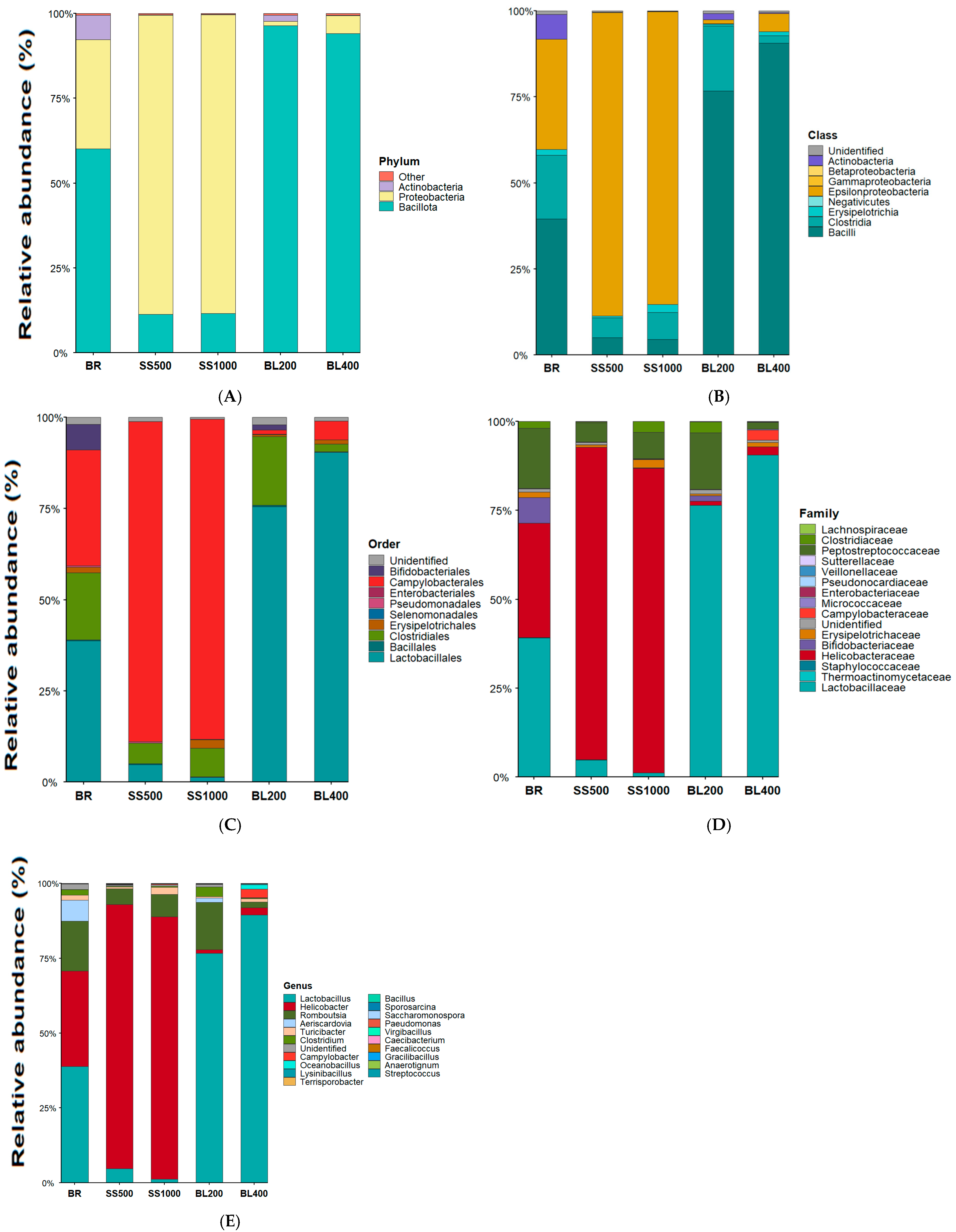 Animals 15 03388 g002