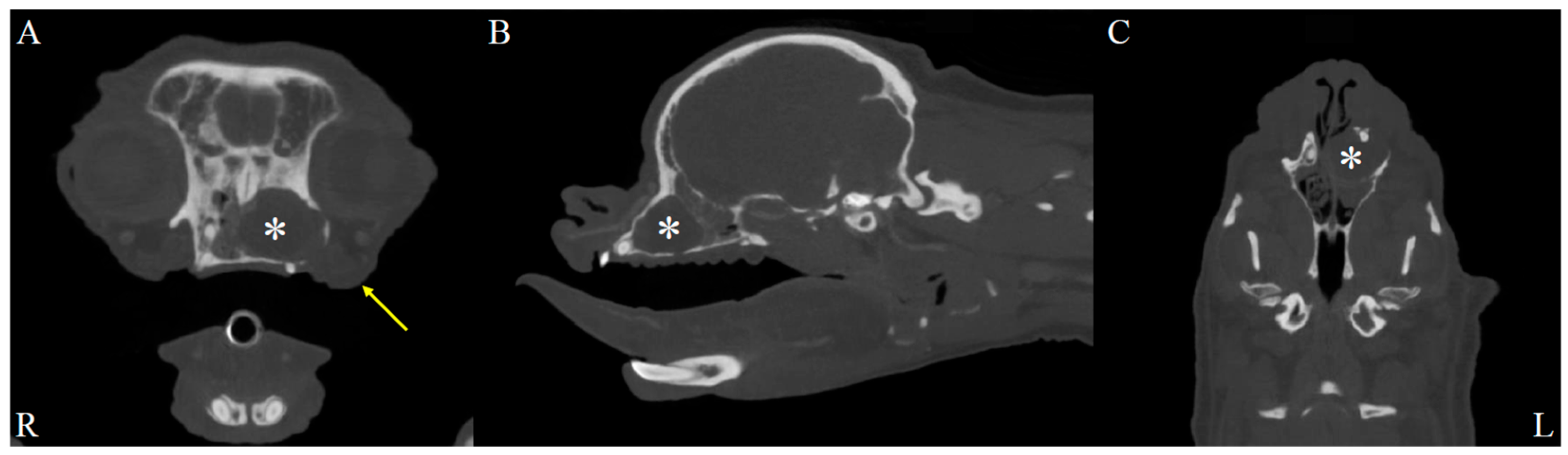 Animals 15 03389 g001