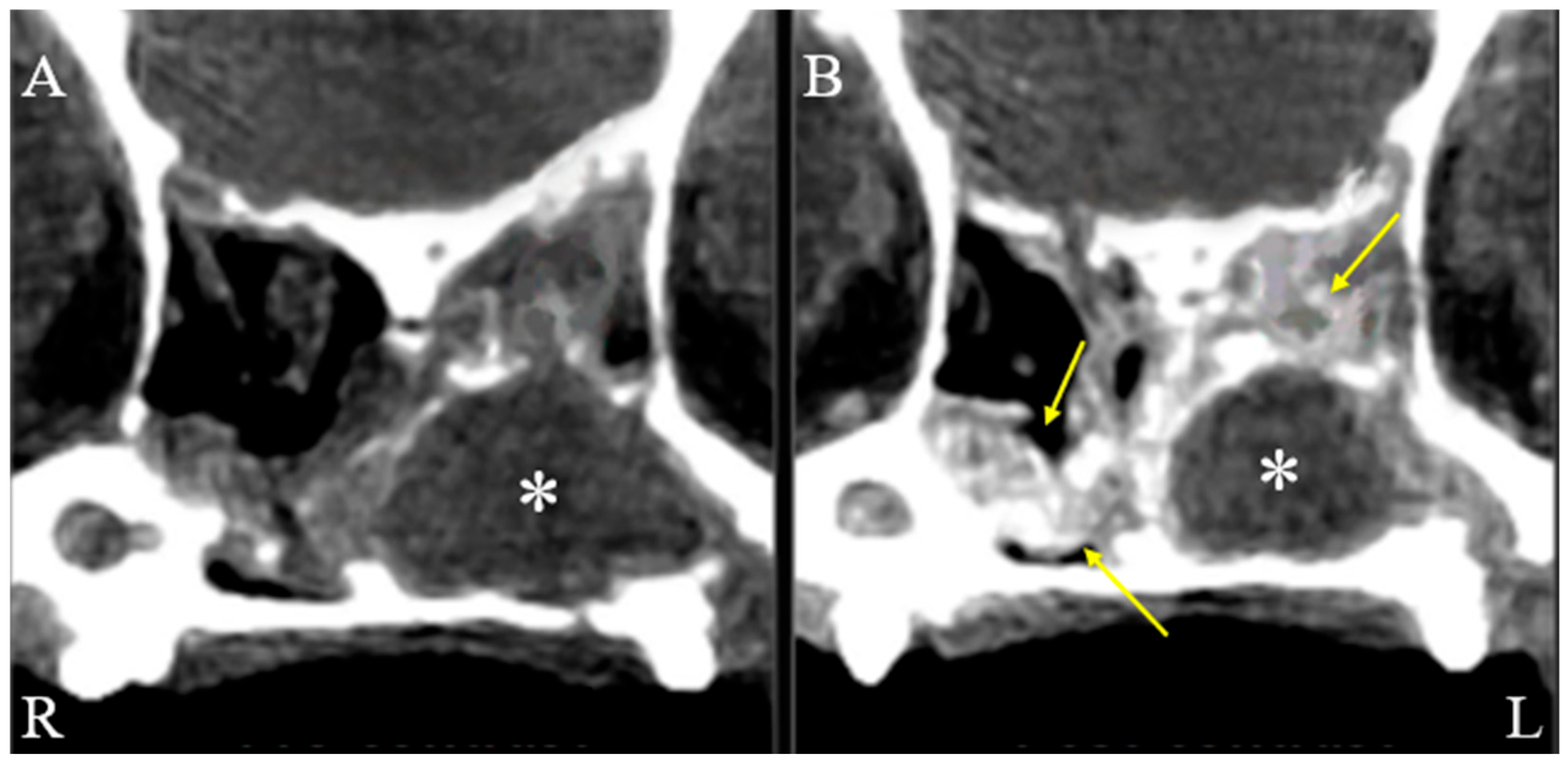 Animals 15 03389 g002