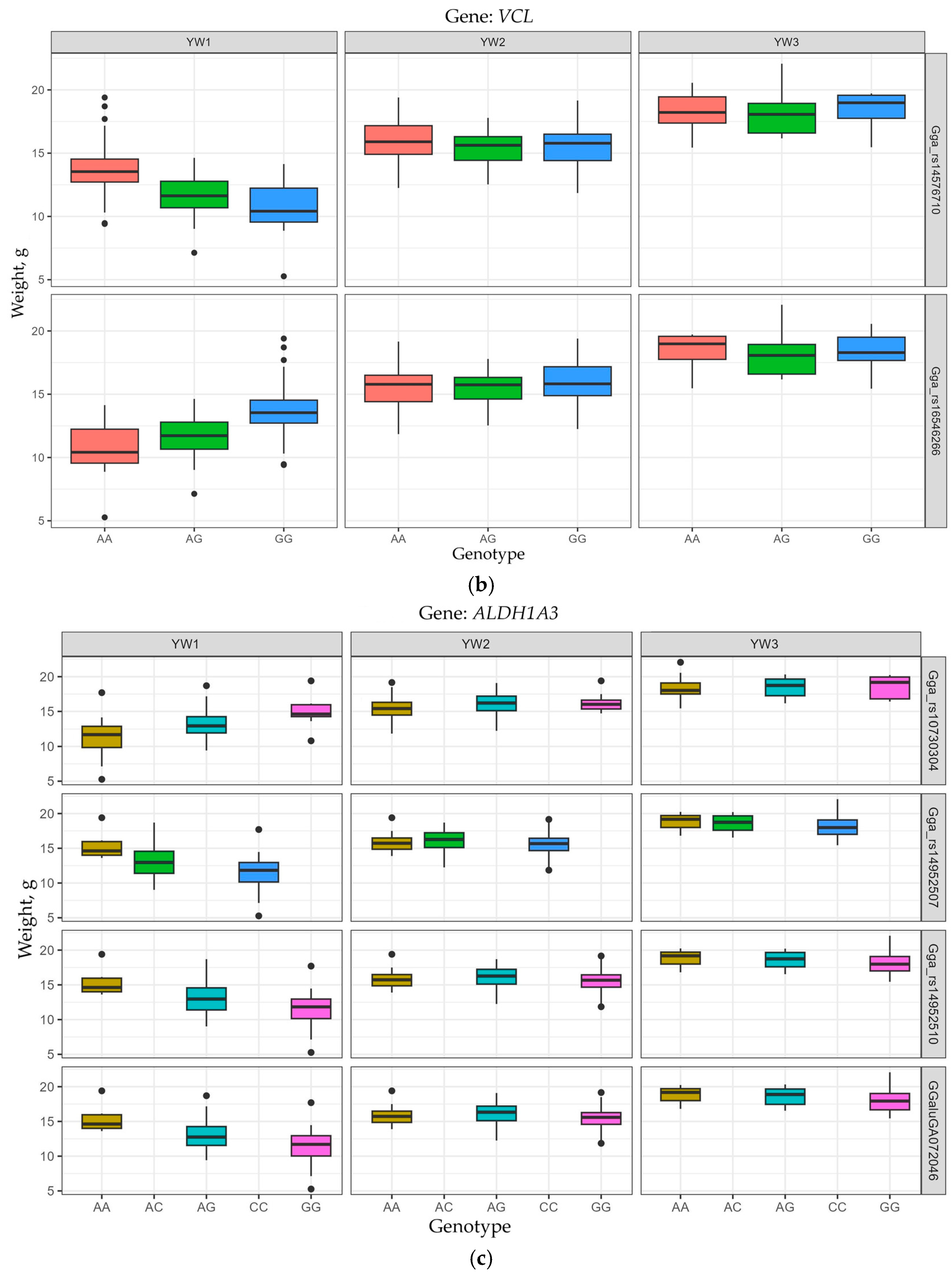 Animals 15 03391 g003b