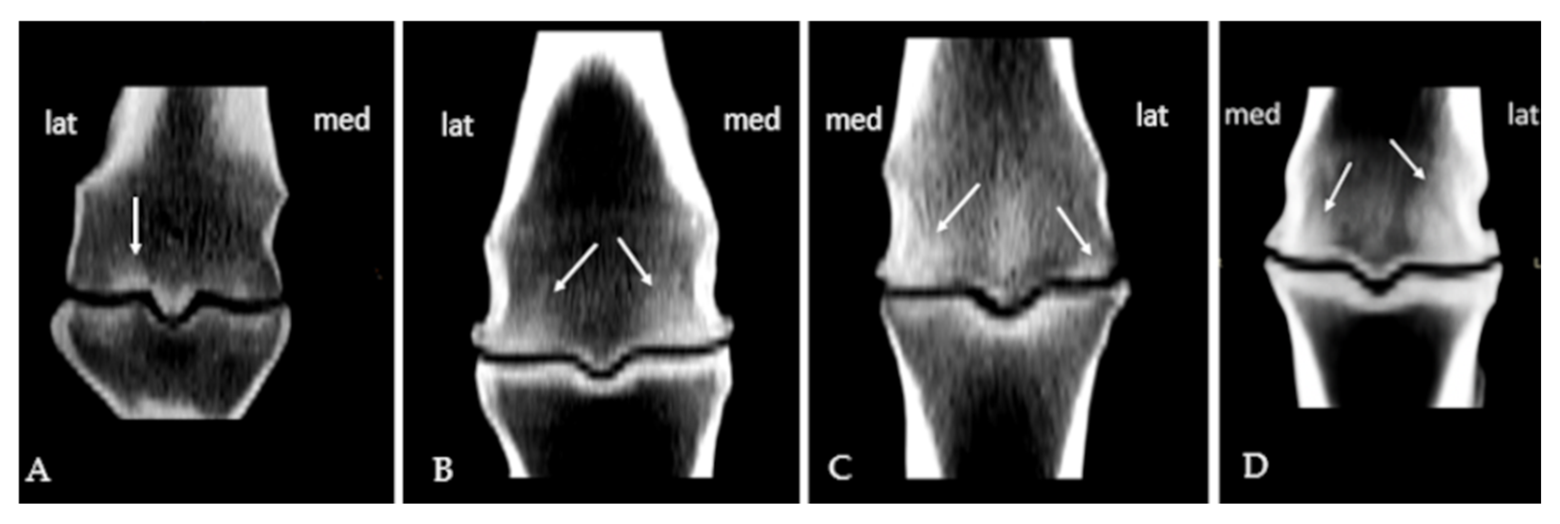 Animals 15 03392 g001