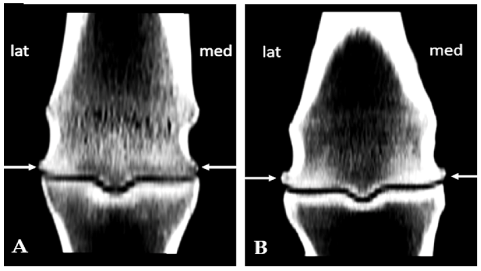 Animals 15 03392 g002