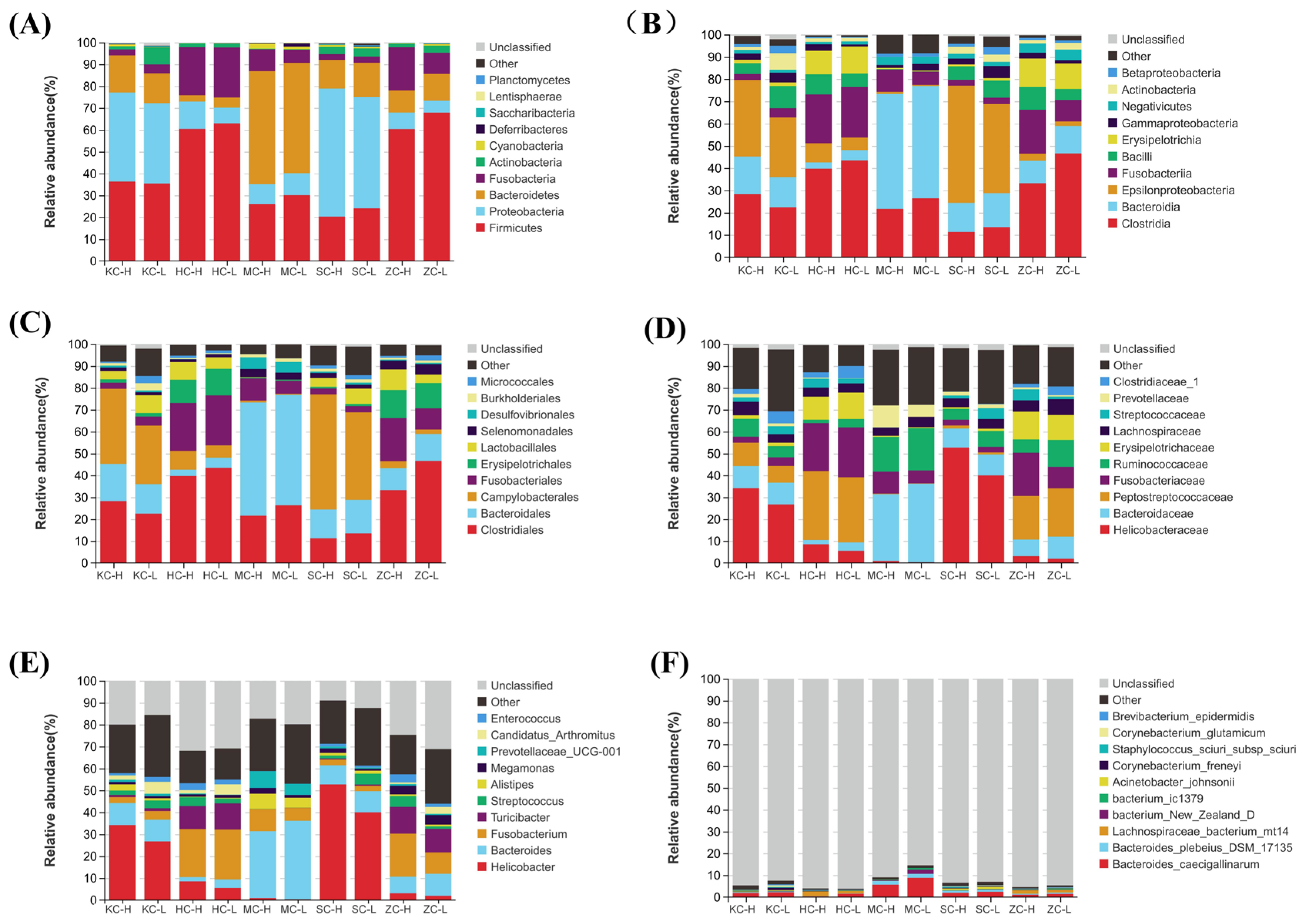 Animals 15 03393 g002