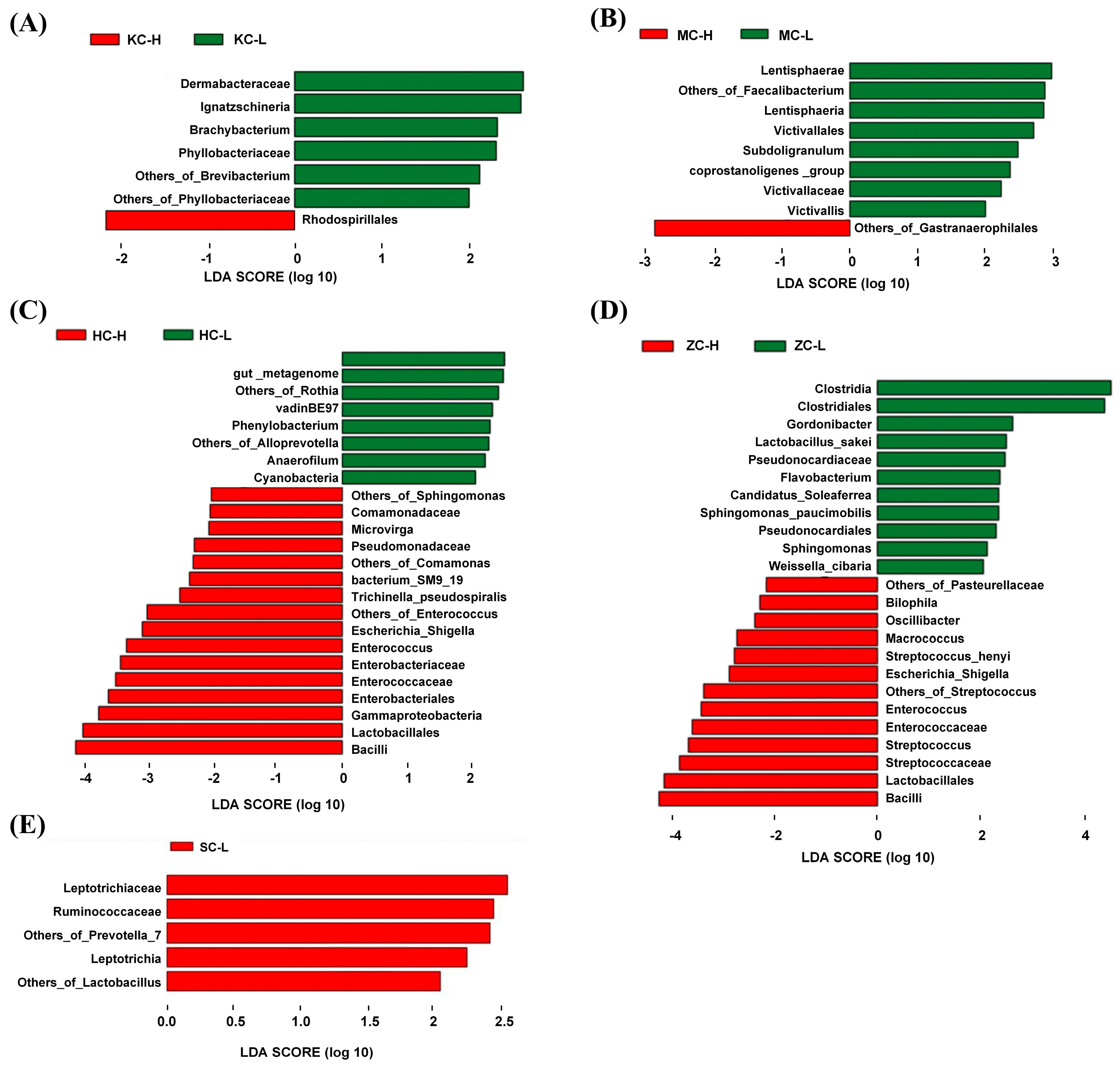 Animals 15 03393 g003