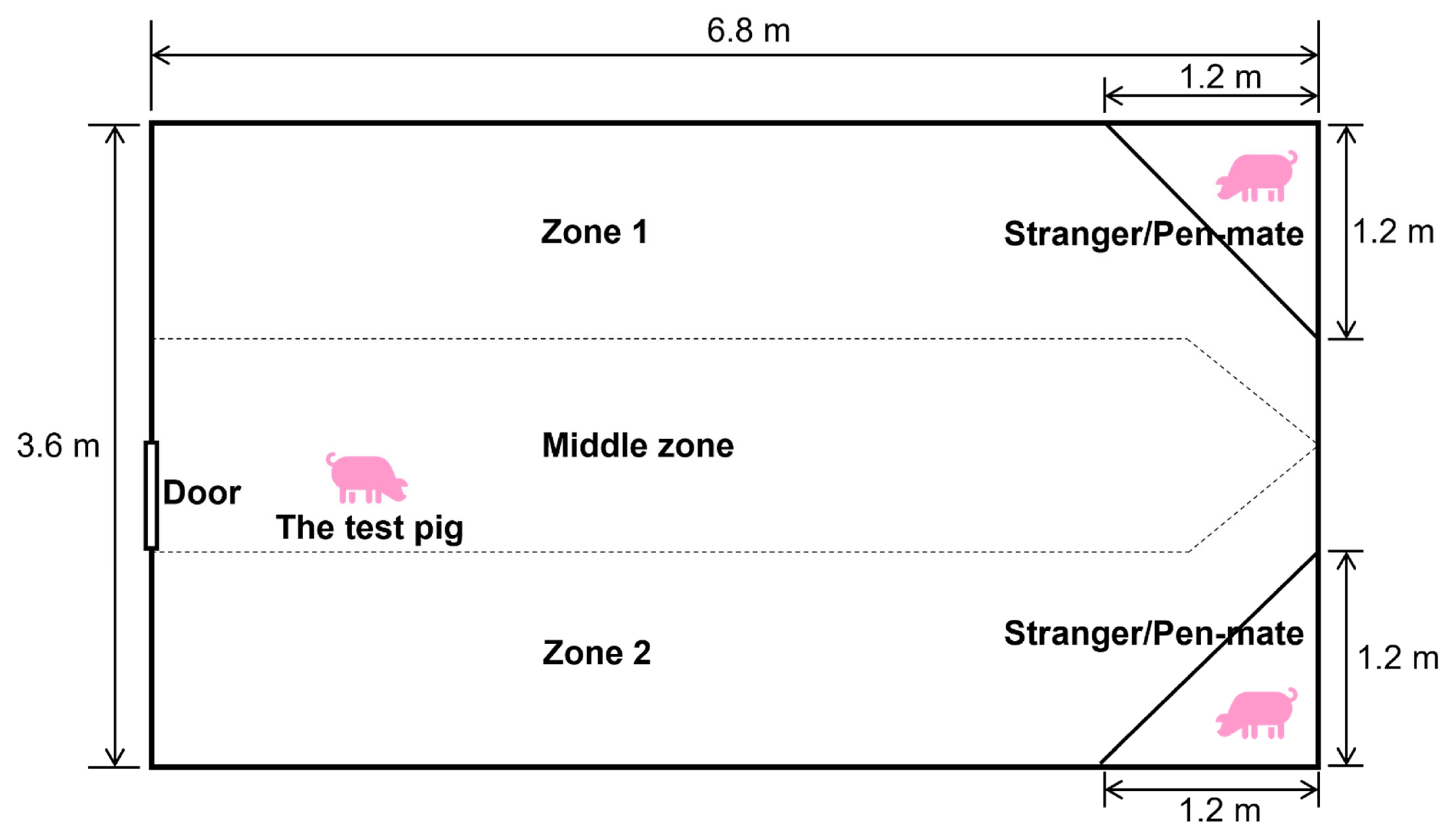 Animals 15 03395 g001
