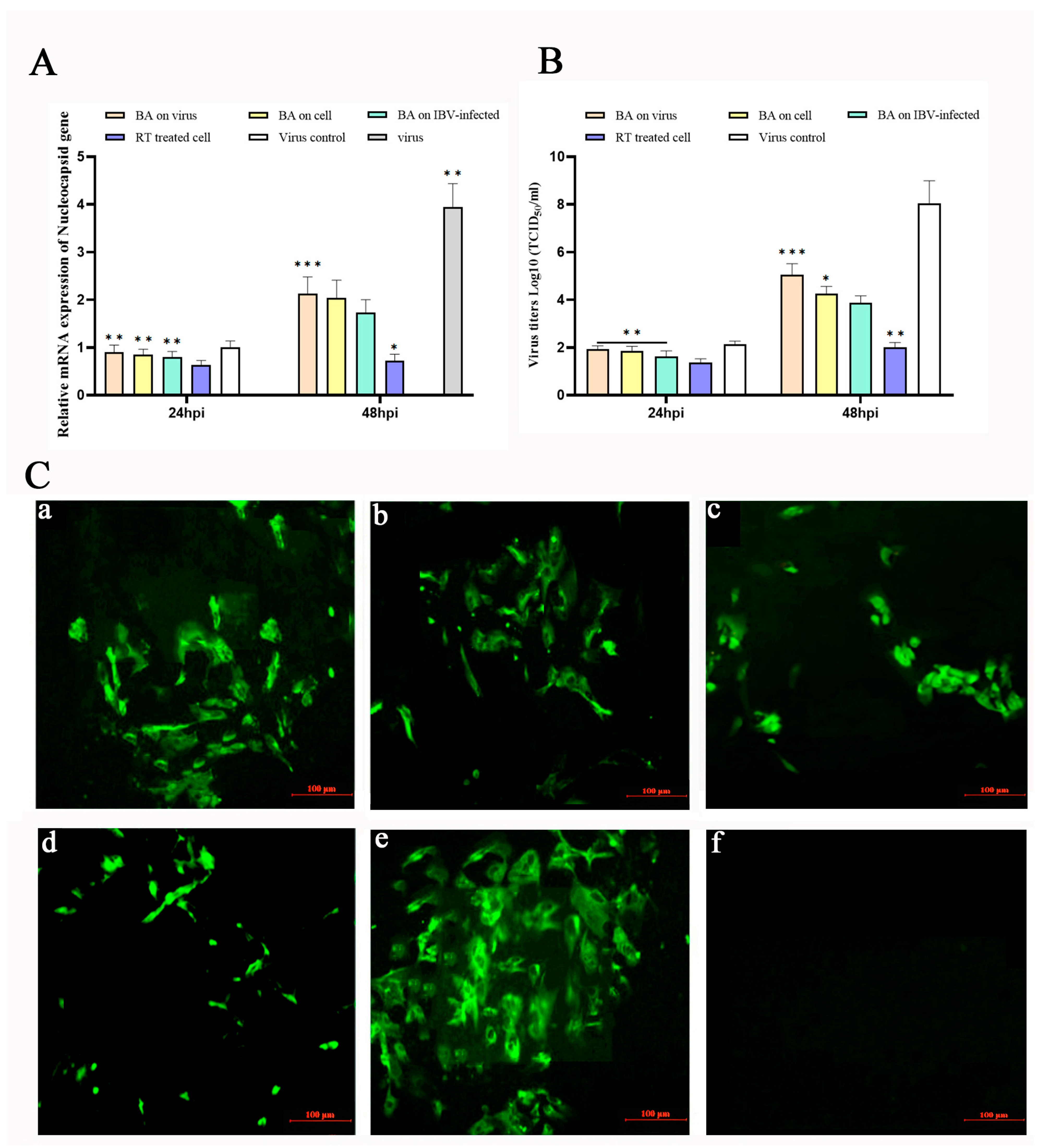Animals 15 03396 g001