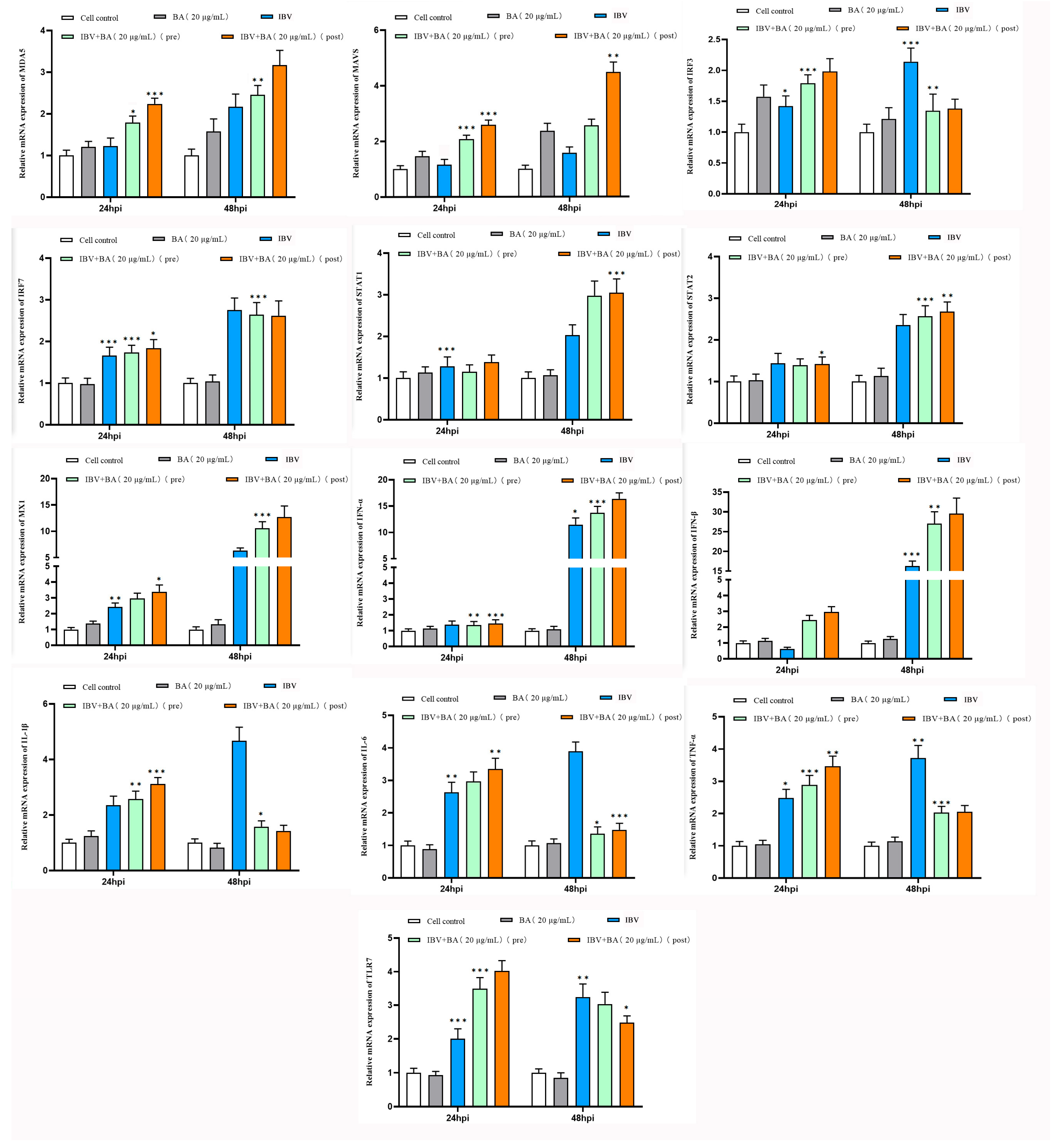 Animals 15 03396 g002