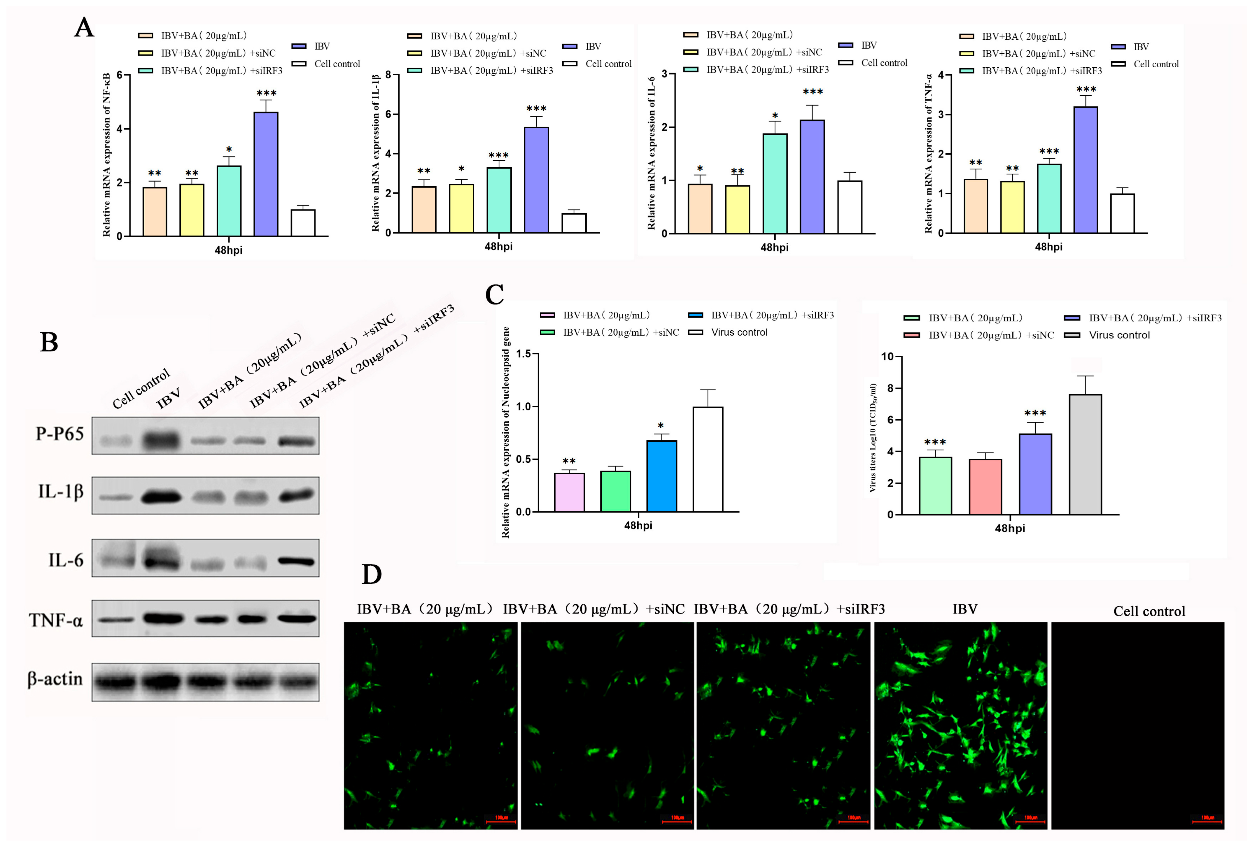 Animals 15 03396 g005