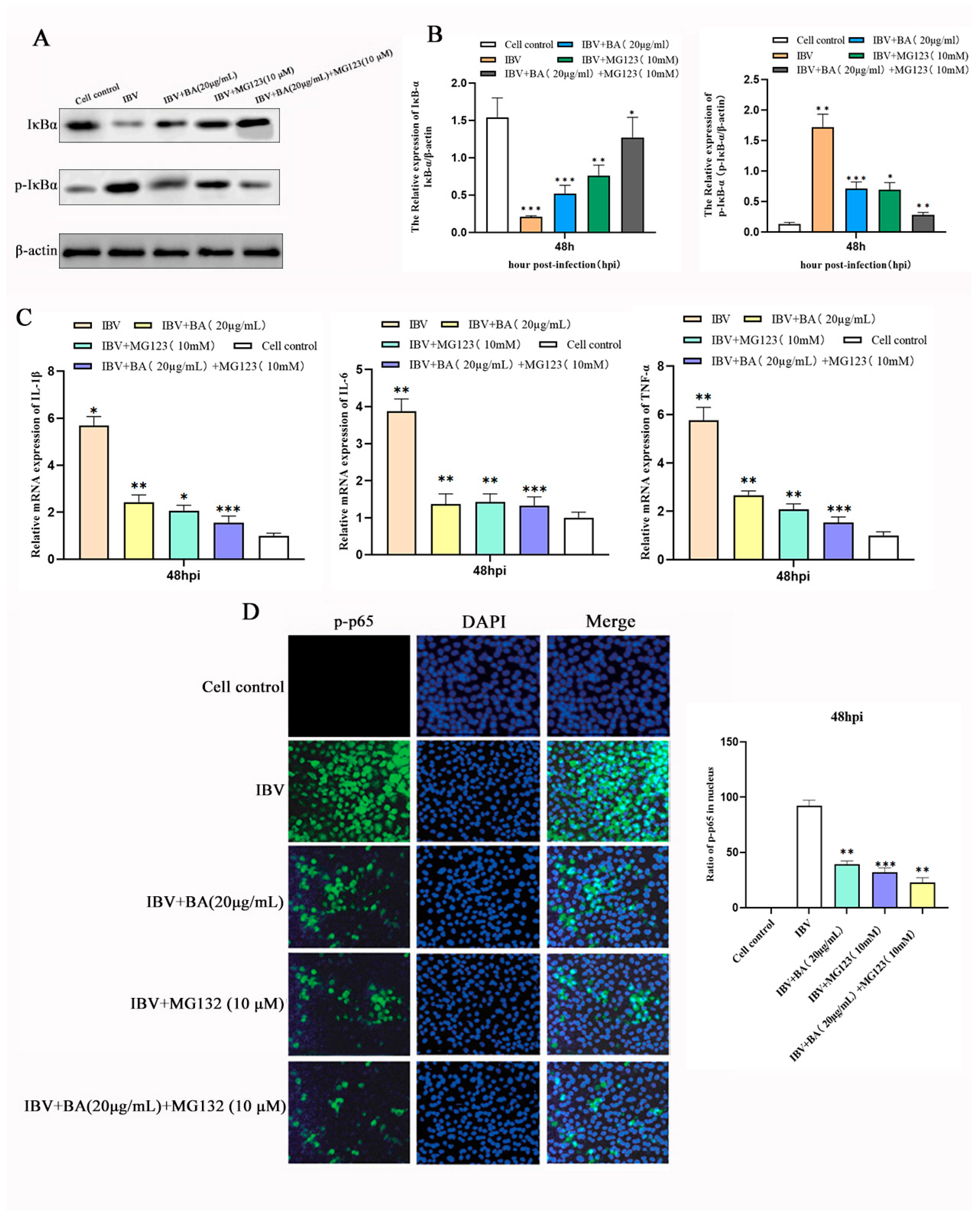 Animals 15 03396 g006
