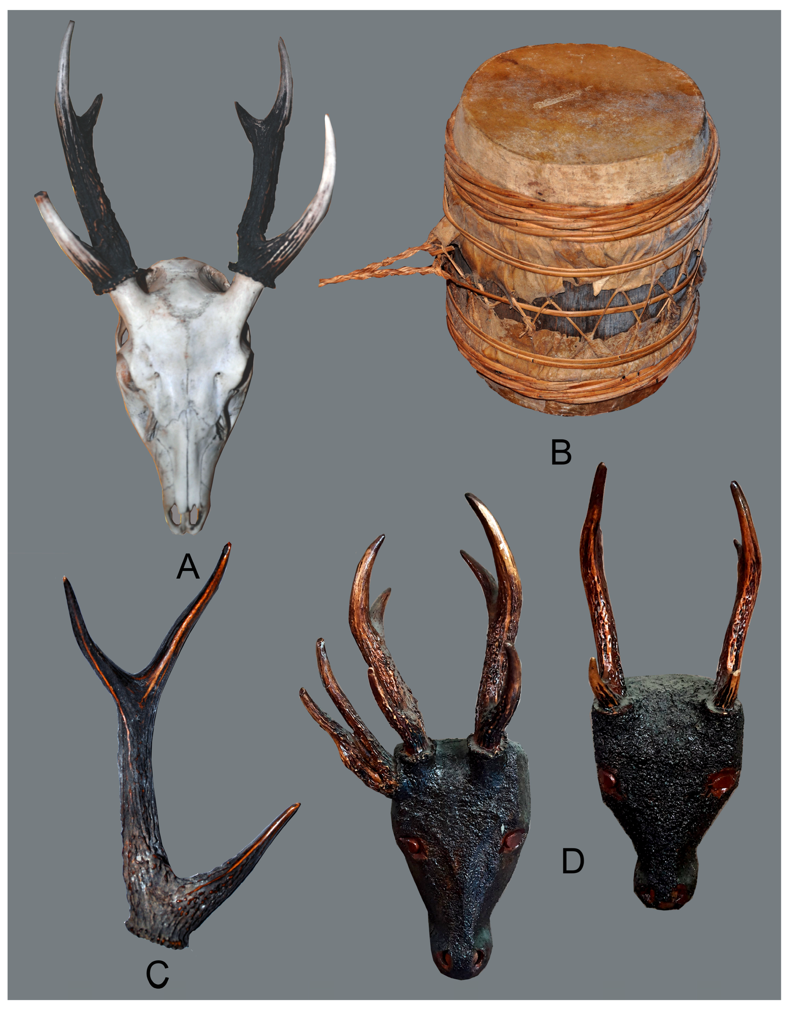 Animals 15 03397 g003 Animals 15 03397 g003