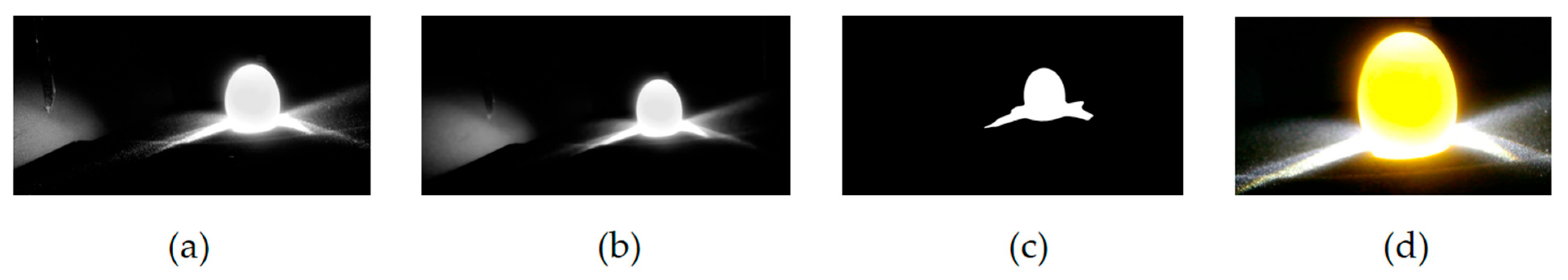 Animals 15 03400 g003