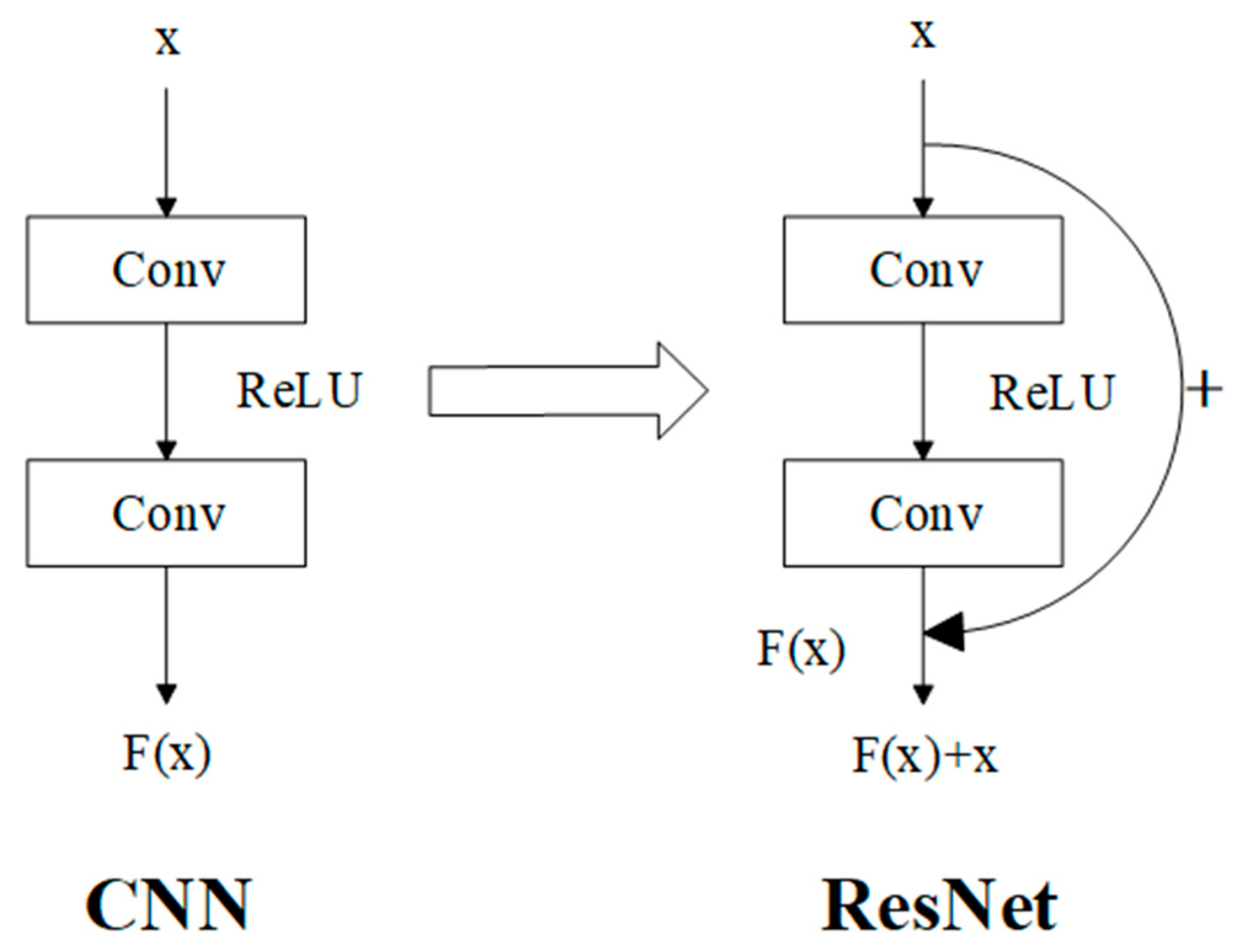 Animals 15 03400 g004