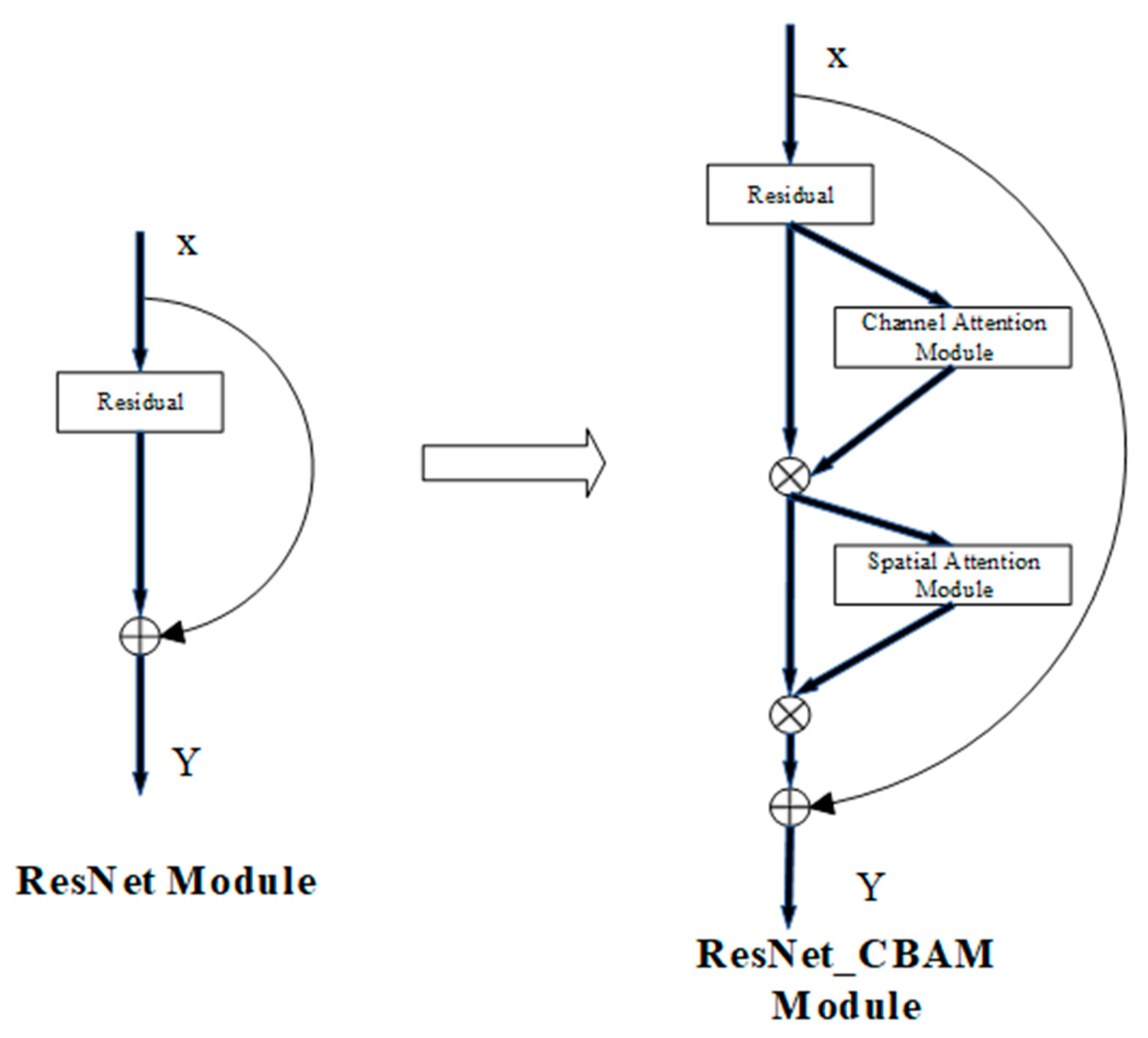 Animals 15 03400 g005