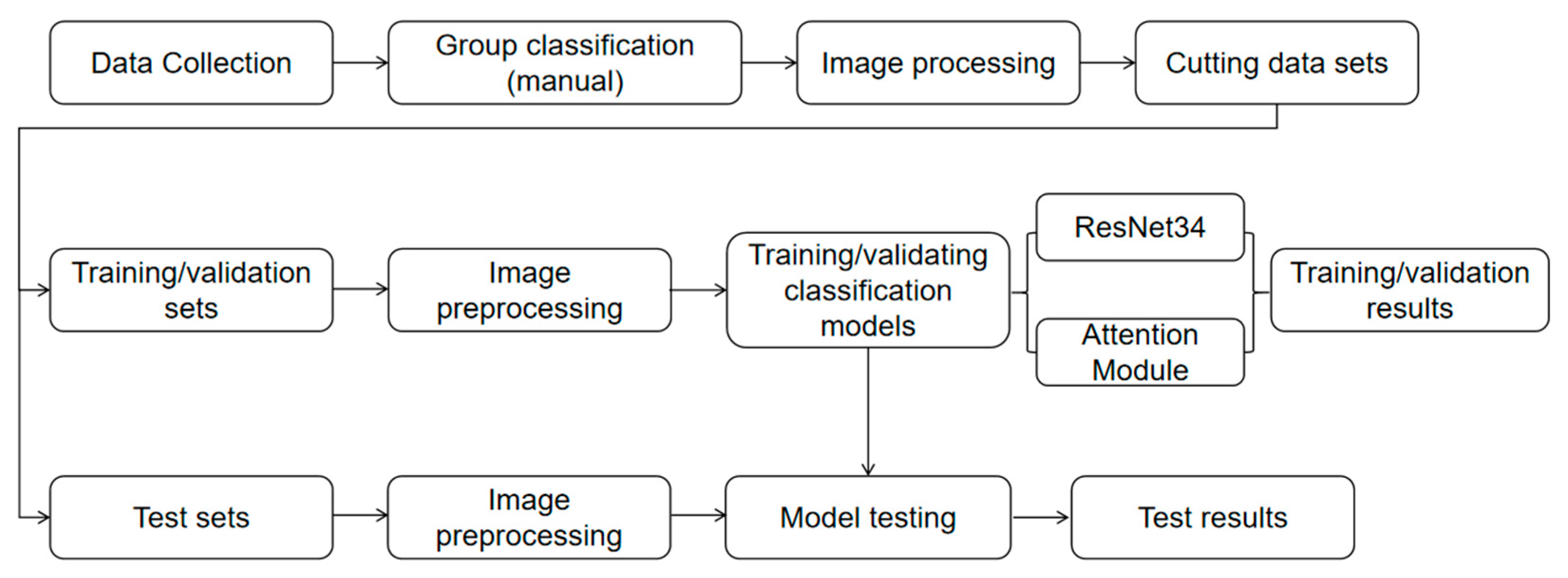 Animals 15 03400 g006