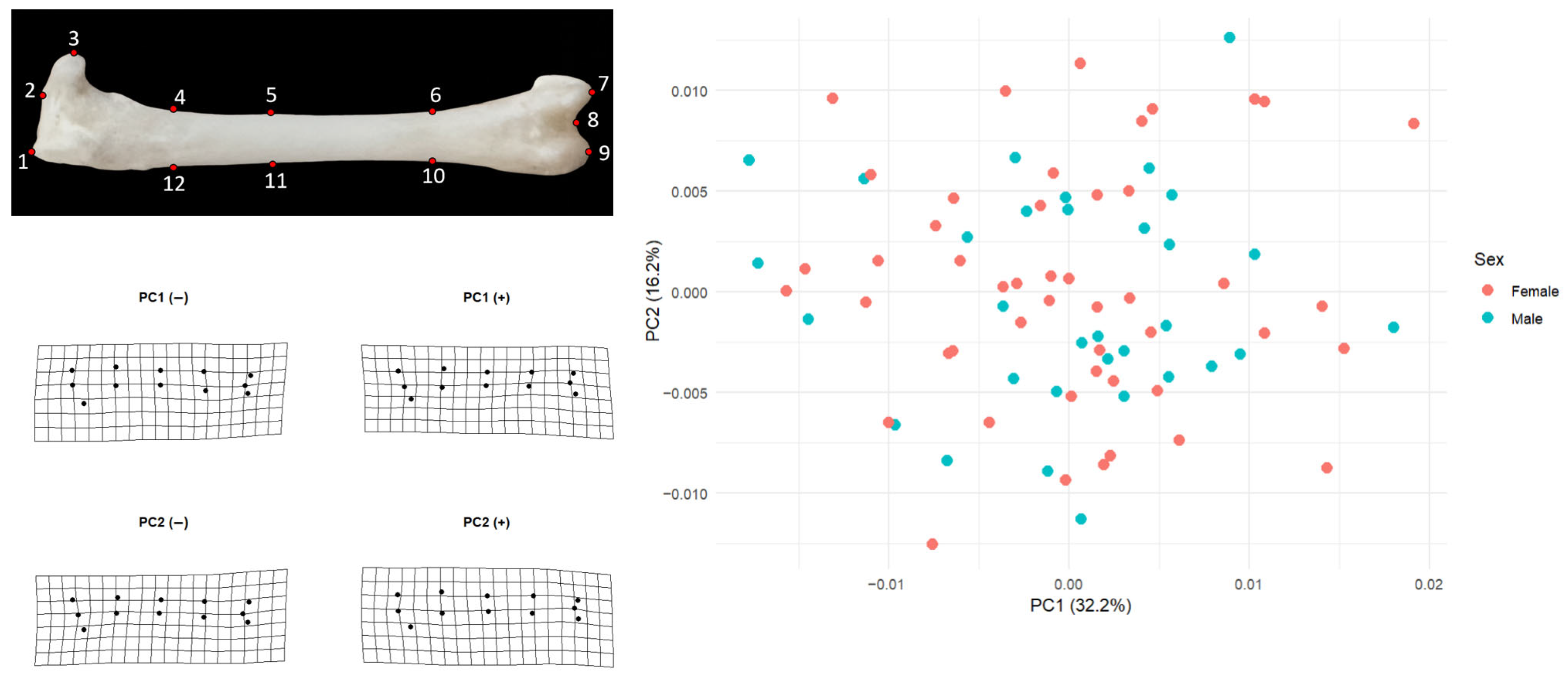 Animals 15 03401 g002