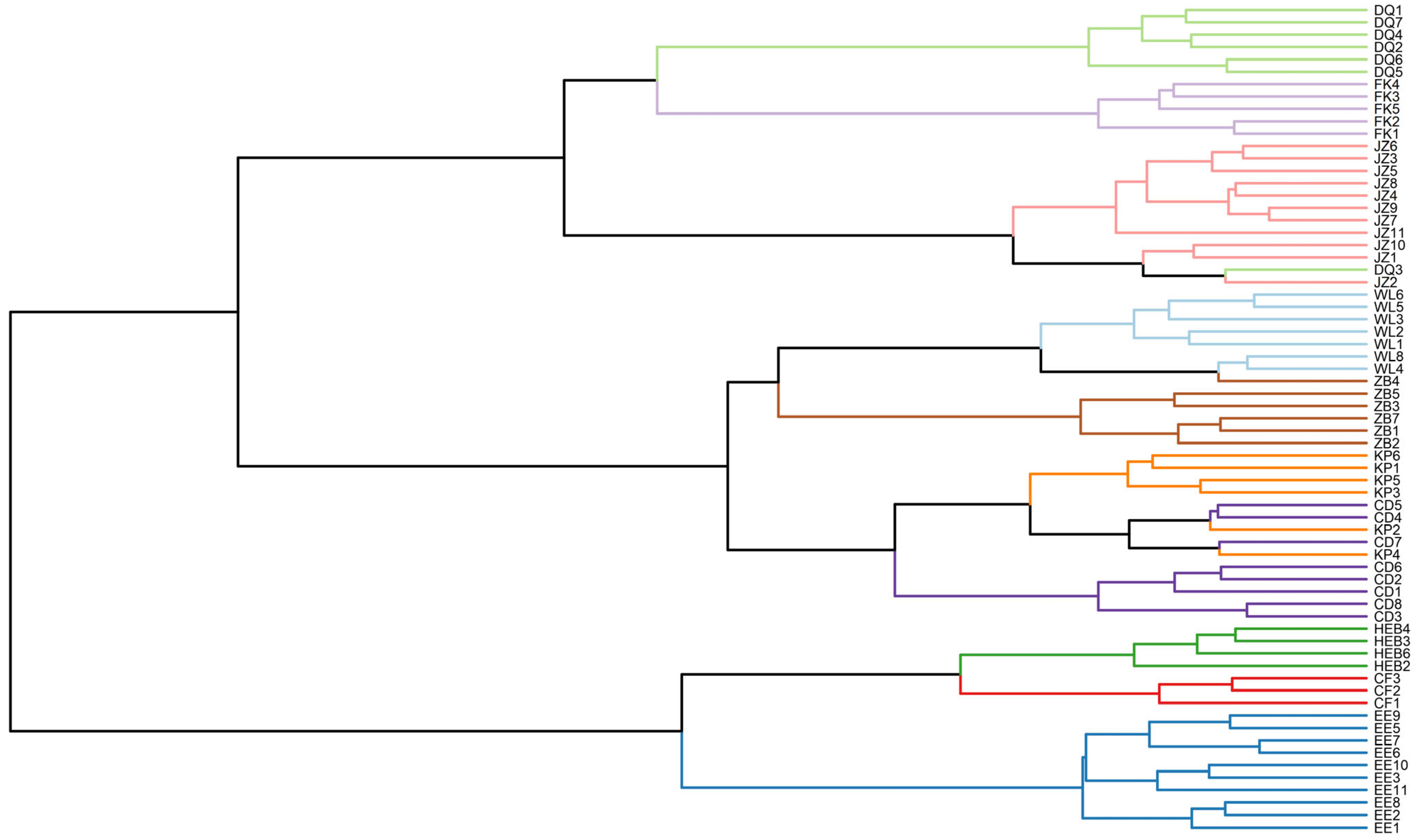 Animals 15 03403 g005