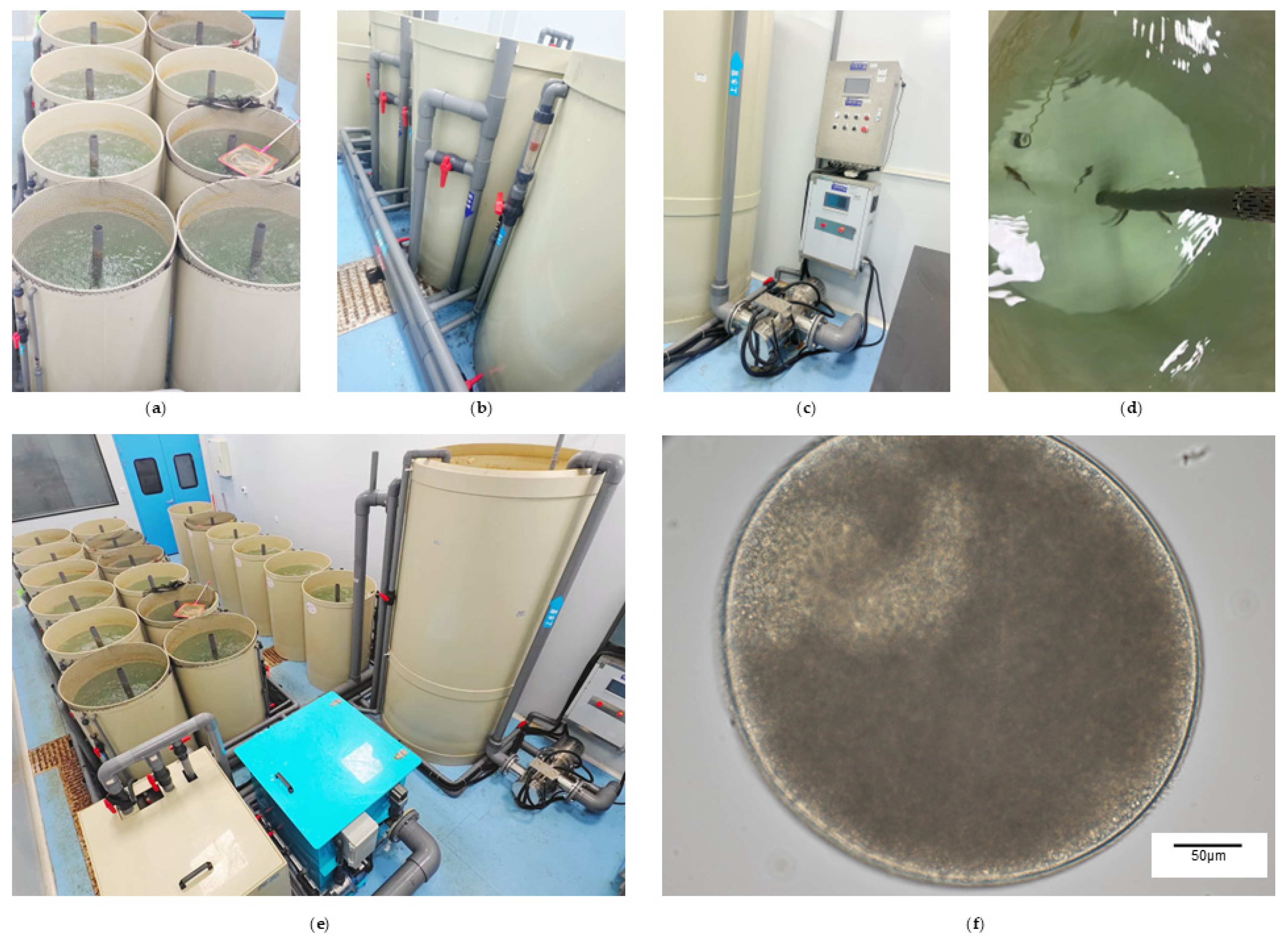 Animals 15 03407 g0a1 Animals 15 03407 g0a1