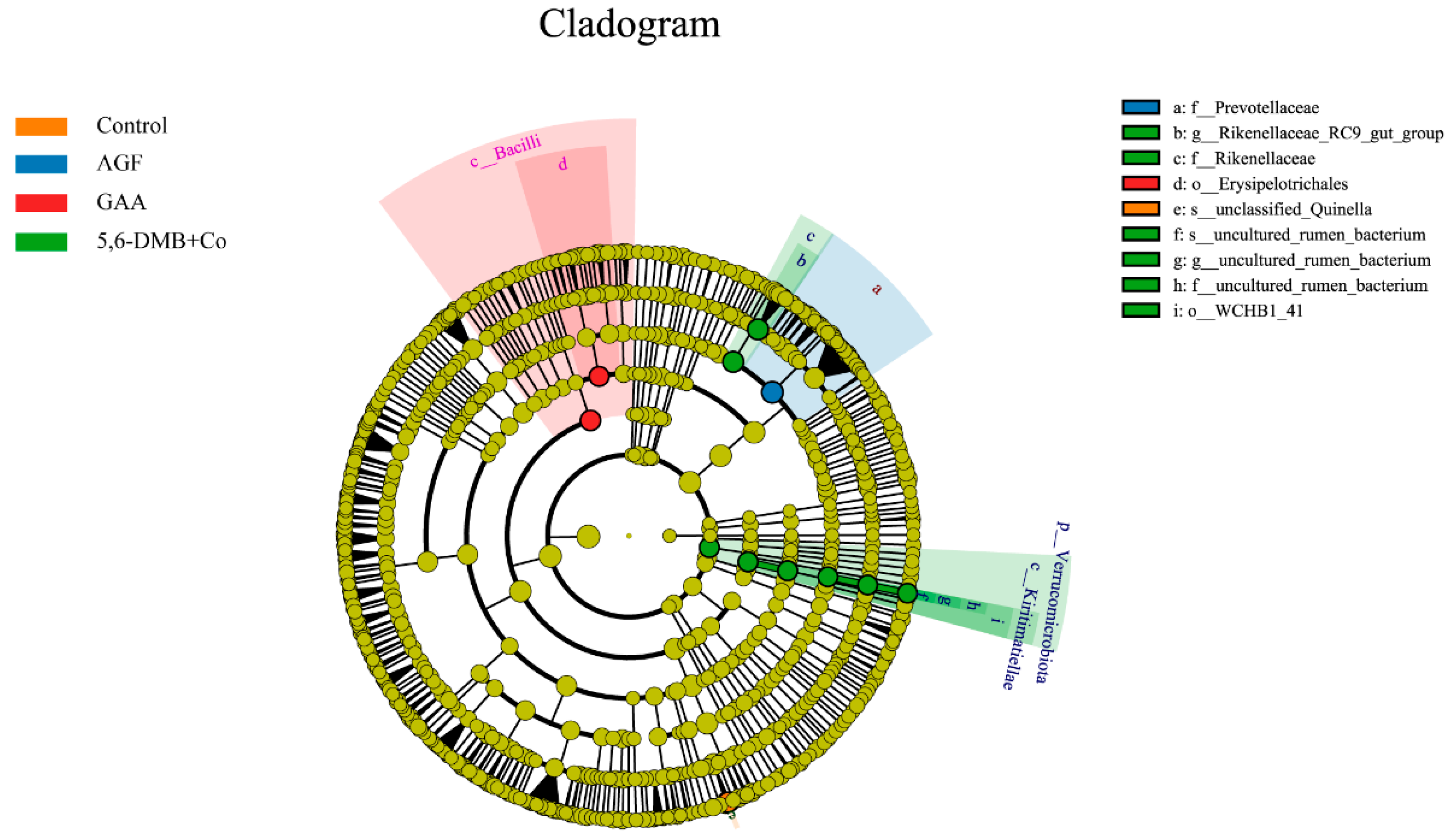 Animals 15 03414 g004