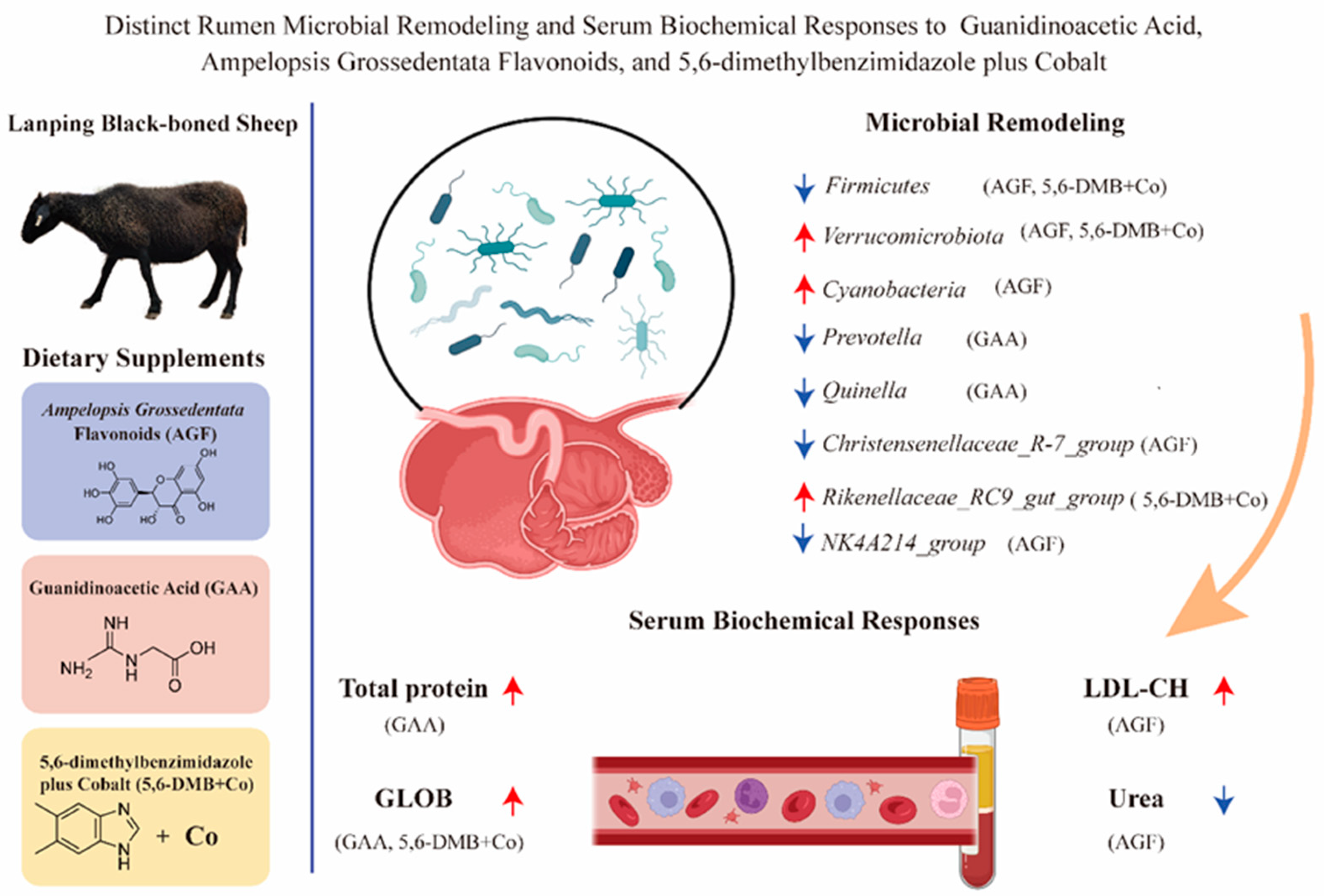 Animals 15 03414 g005