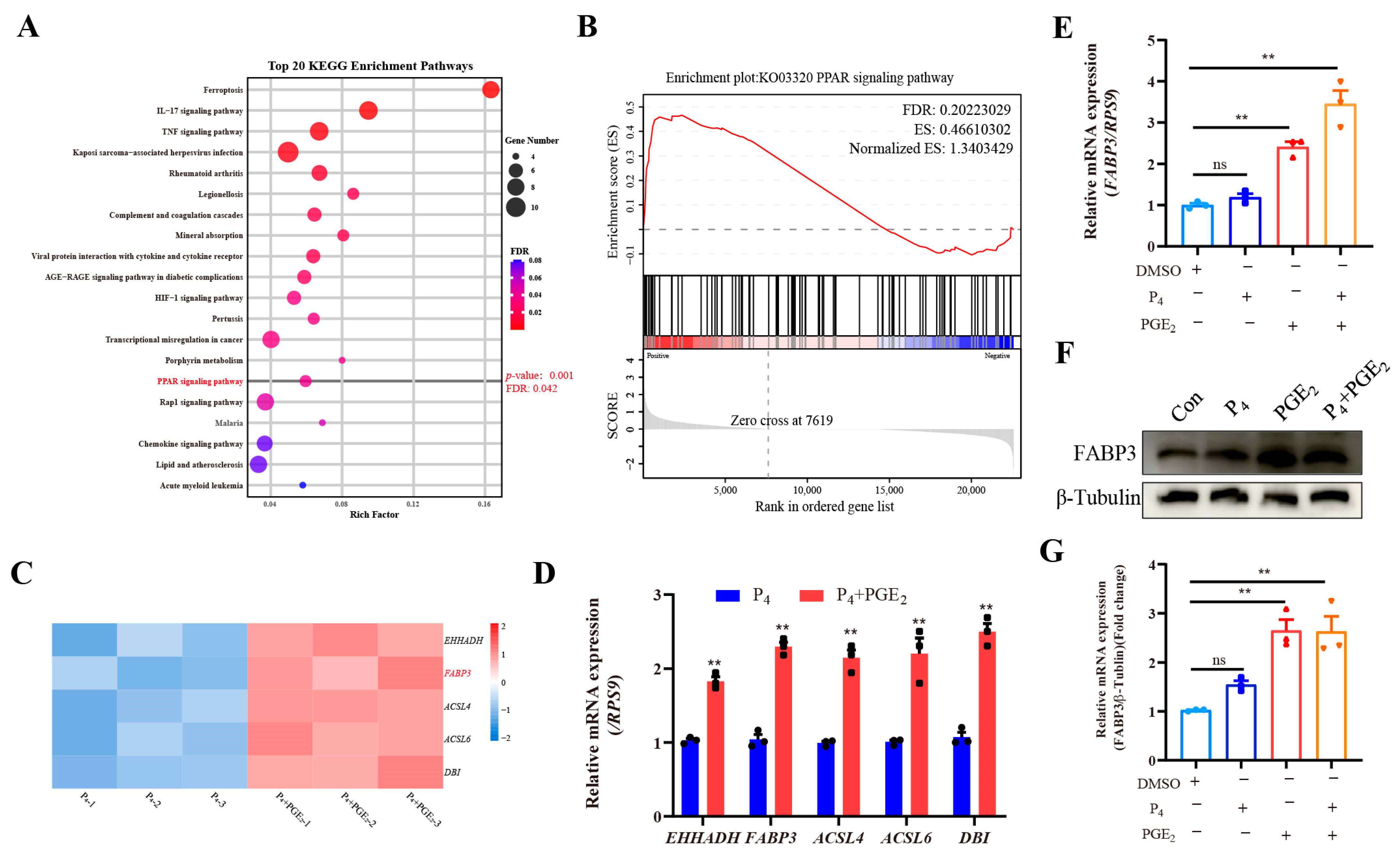 Animals 15 03417 g003
