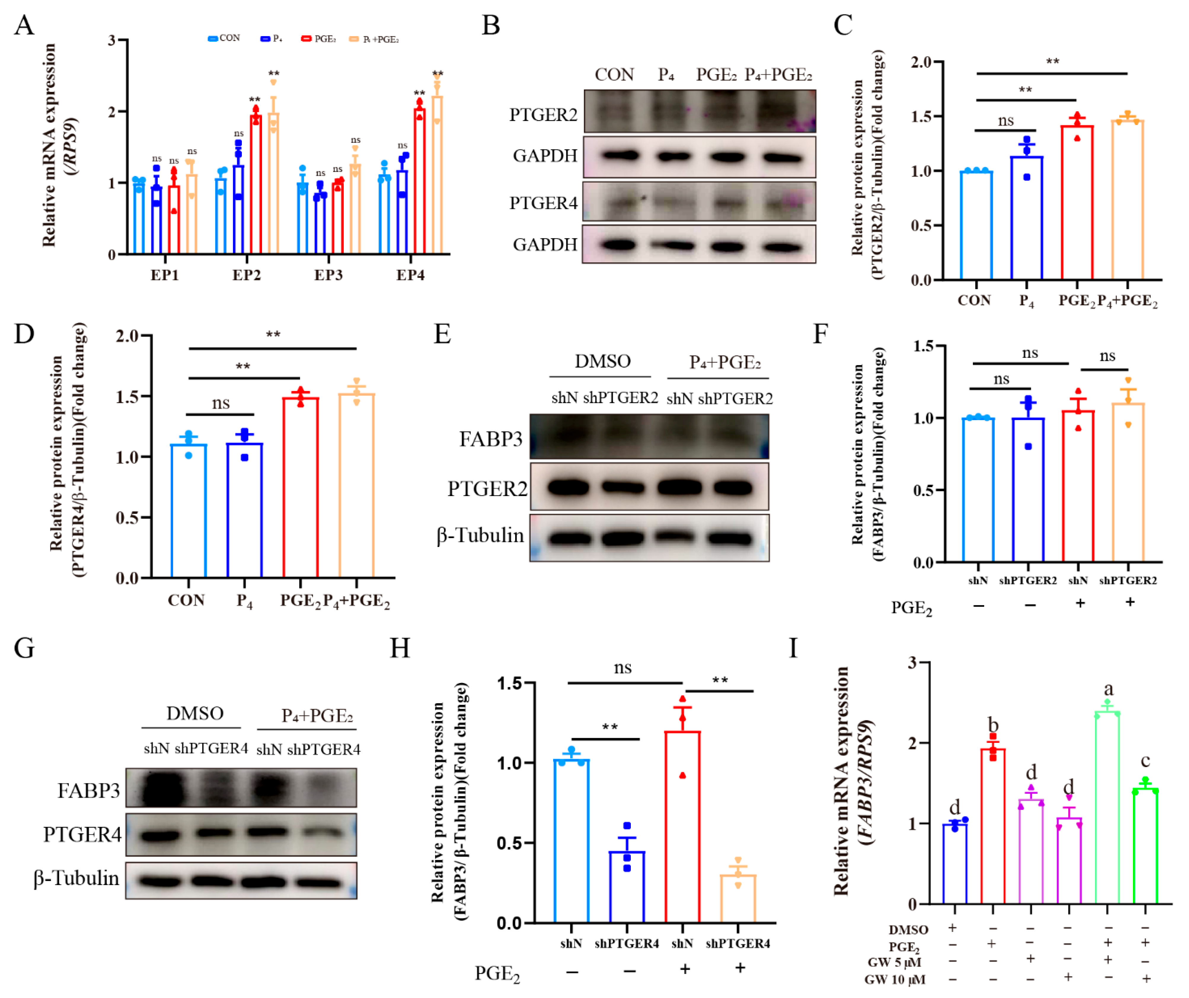 Animals 15 03417 g006