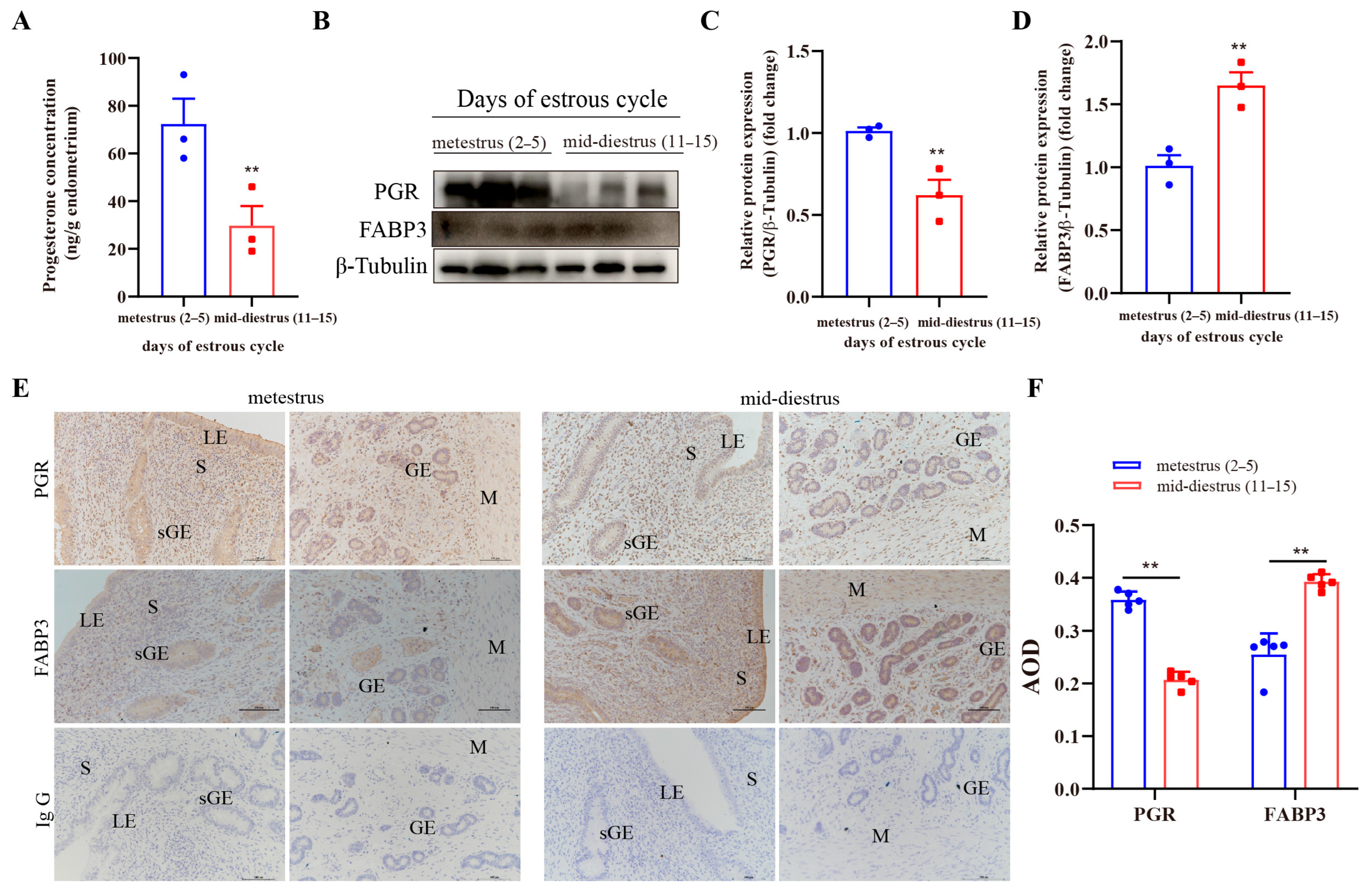 Animals 15 03417 g007