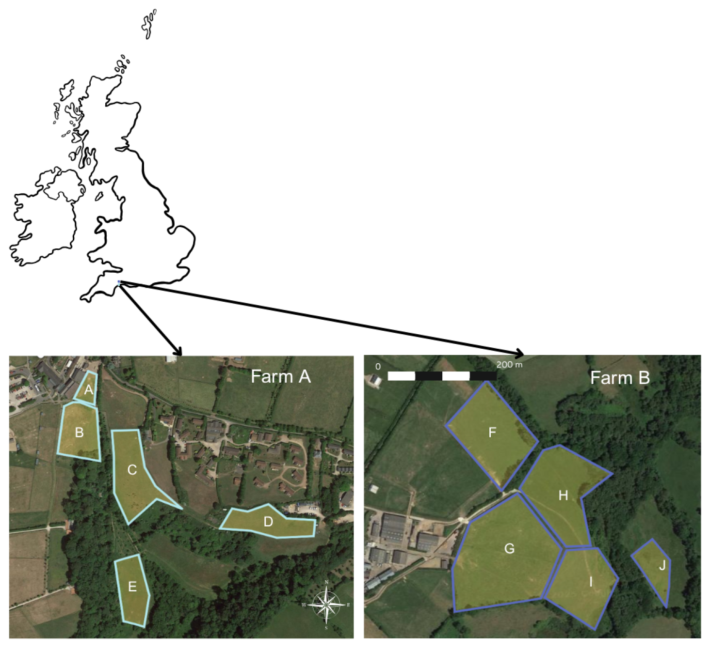 Animals 15 03421 g001