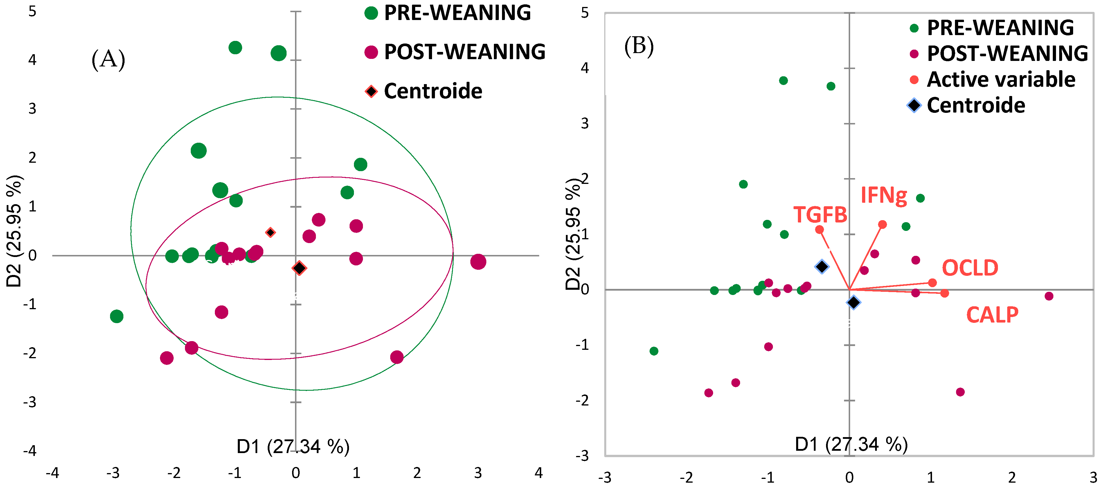 Animals 15 03422 g002