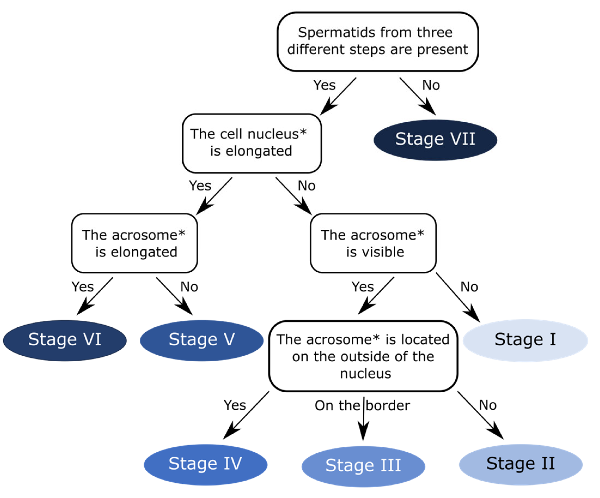 Animals 15 03427 g005