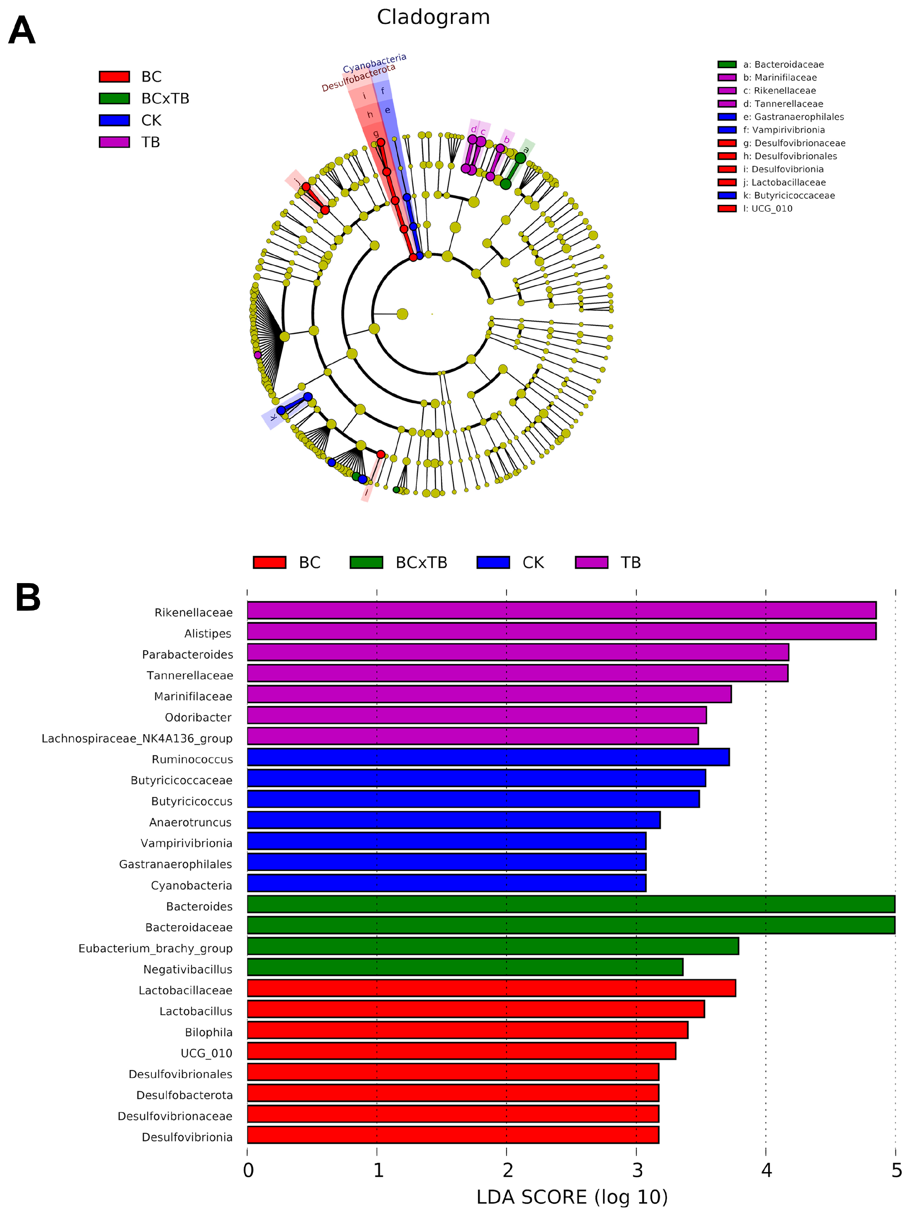 Animals 15 03428 g003