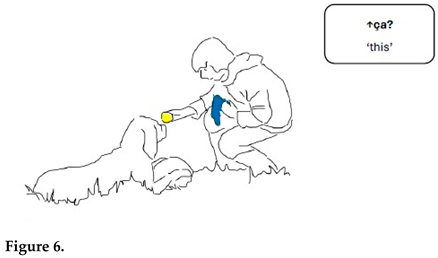 Animals 15 03430 i003 Animals 15 03430 i003