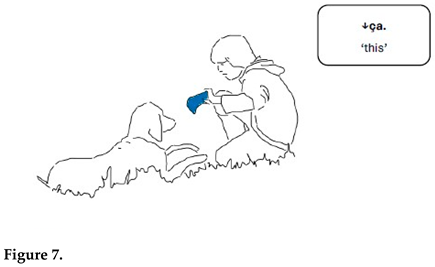 Animals 15 03430 i004 Animals 15 03430 i004