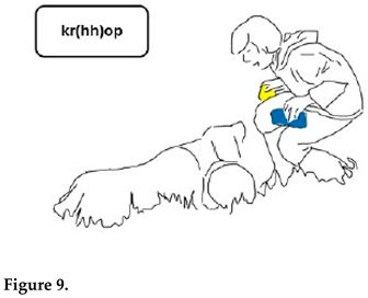 Animals 15 03430 i006 Animals 15 03430 i006