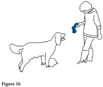 Animals 15 03430 i008 Animals 15 03430 i008