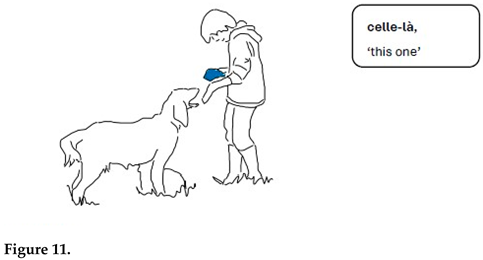 Animals 15 03430 i009 Animals 15 03430 i009