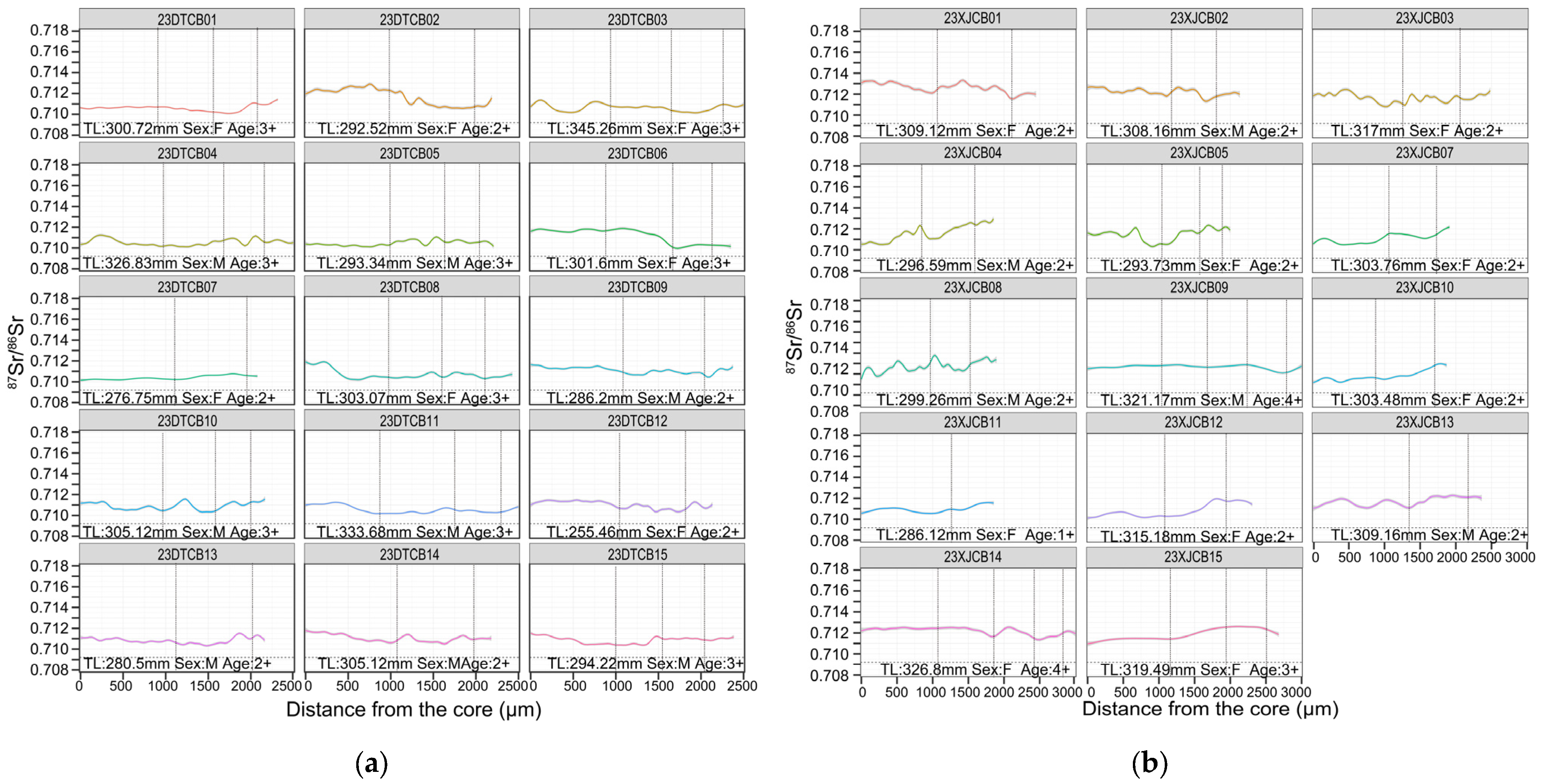 Animals 15 03434 g007 Animals 15 03434 g007