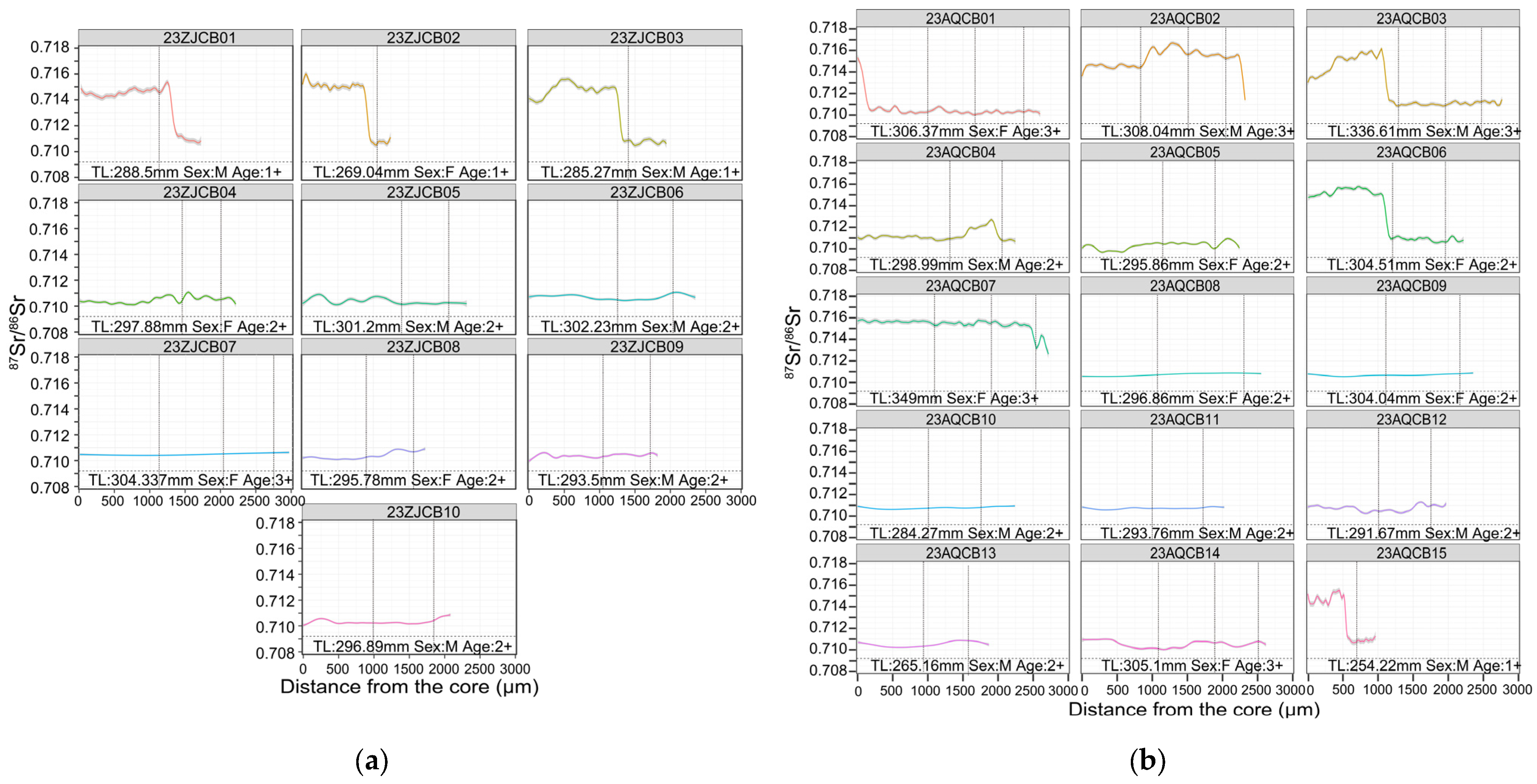 Animals 15 03434 g008 Animals 15 03434 g008