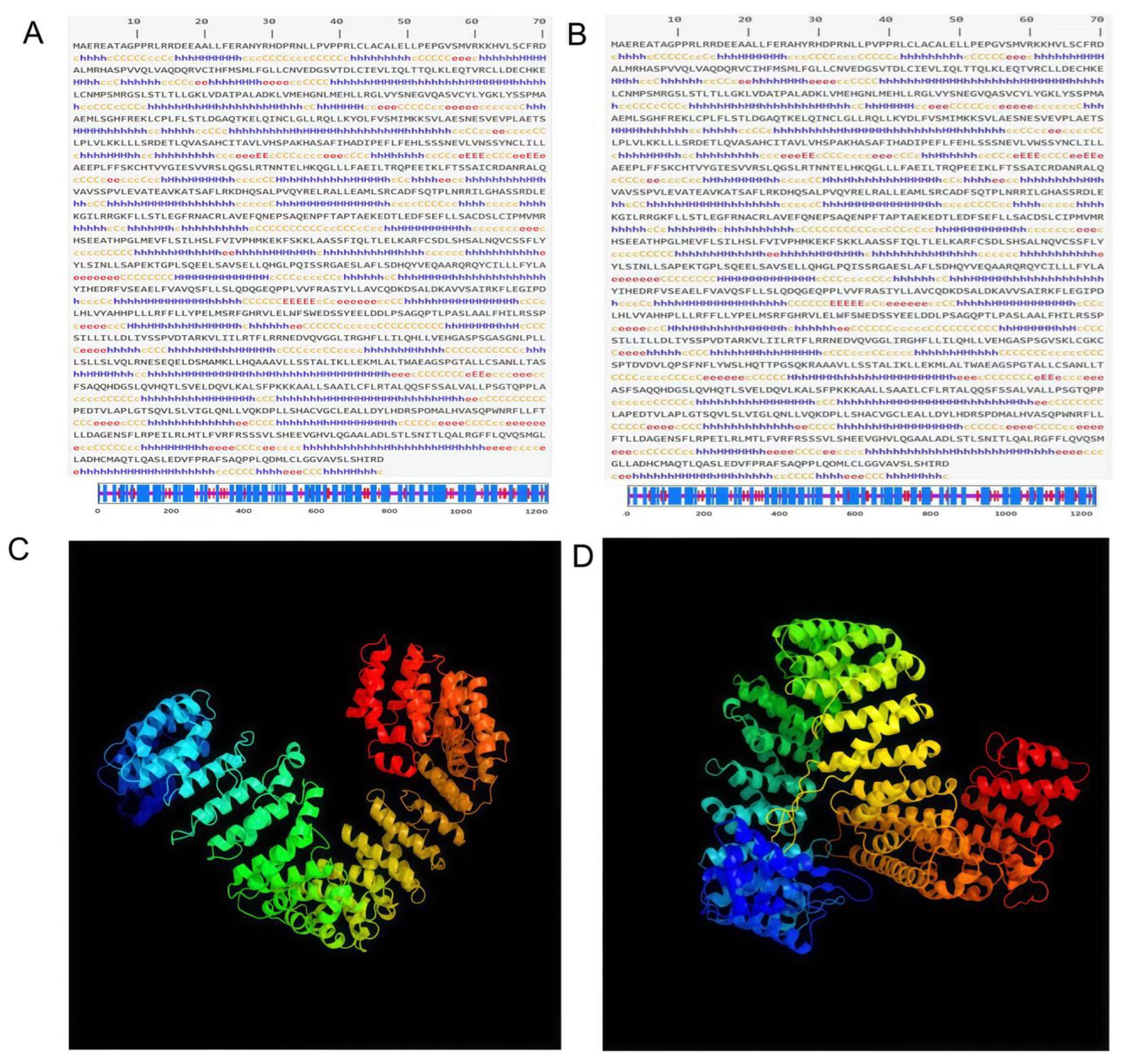 Animals 15 03435 g001