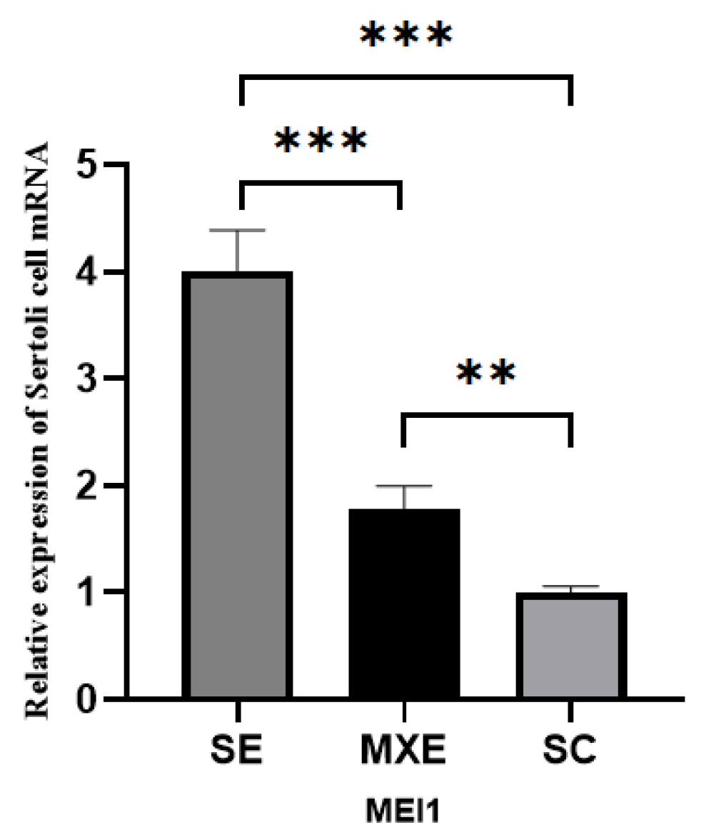 Animals 15 03435 g004