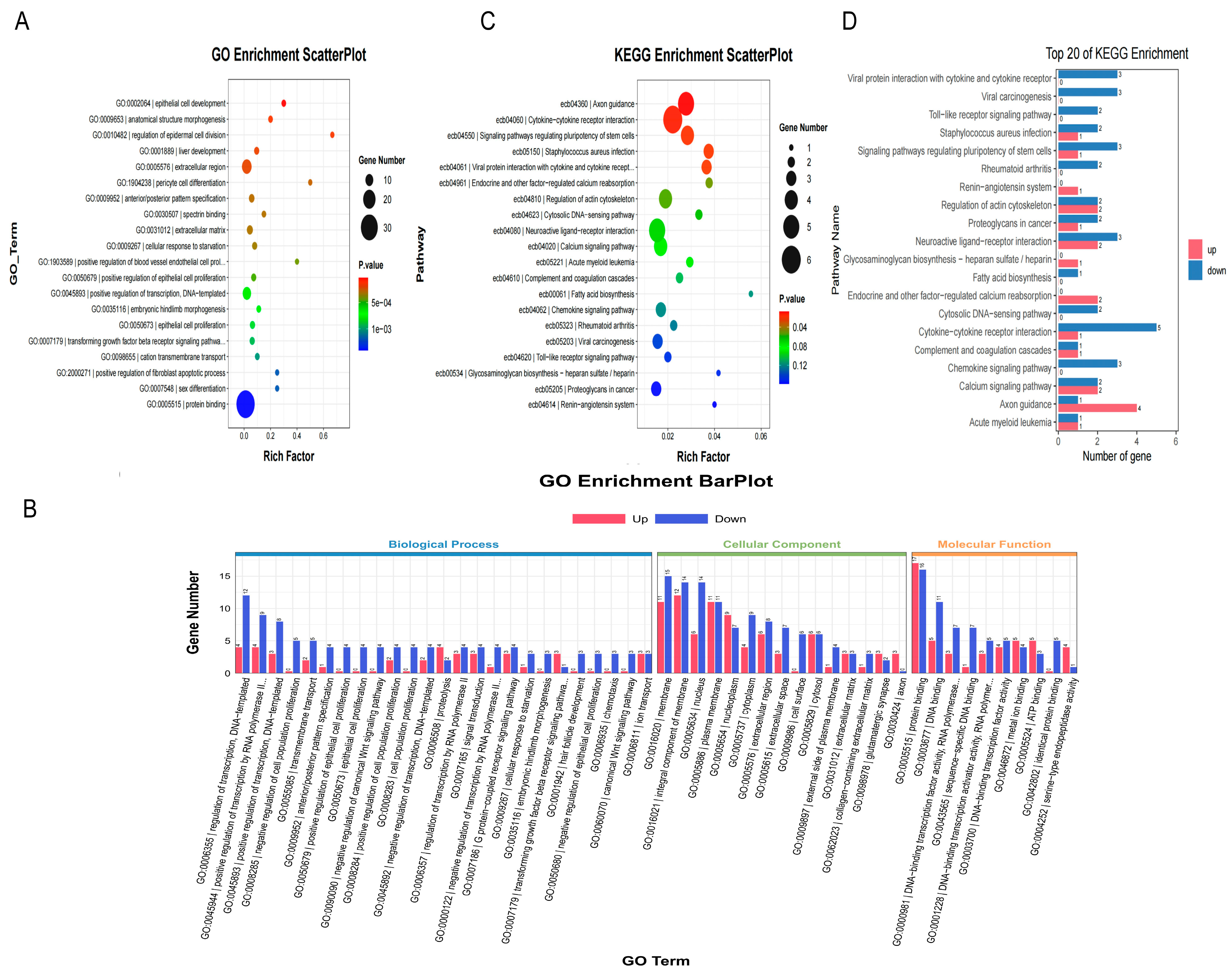Animals 15 03435 g007