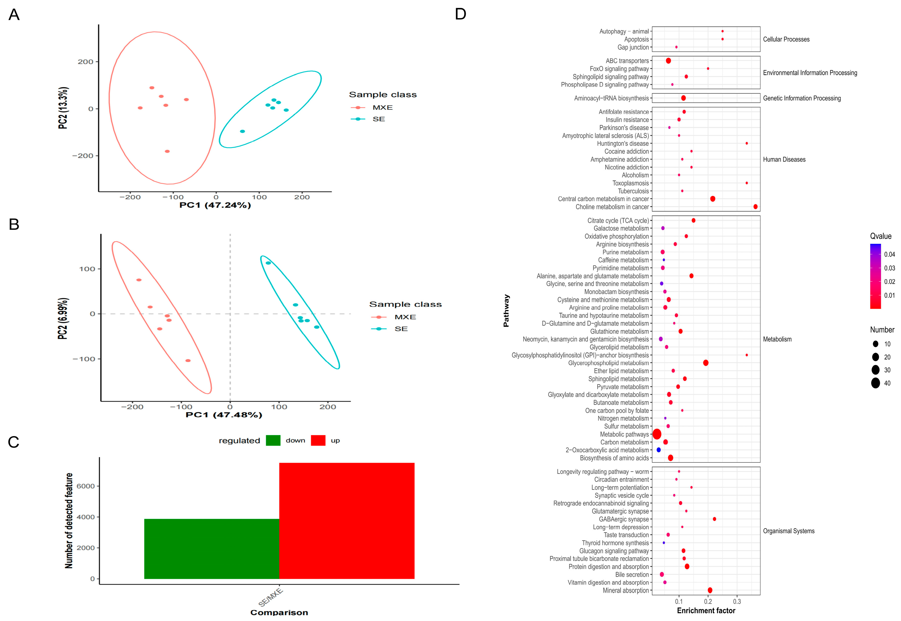 Animals 15 03435 g008