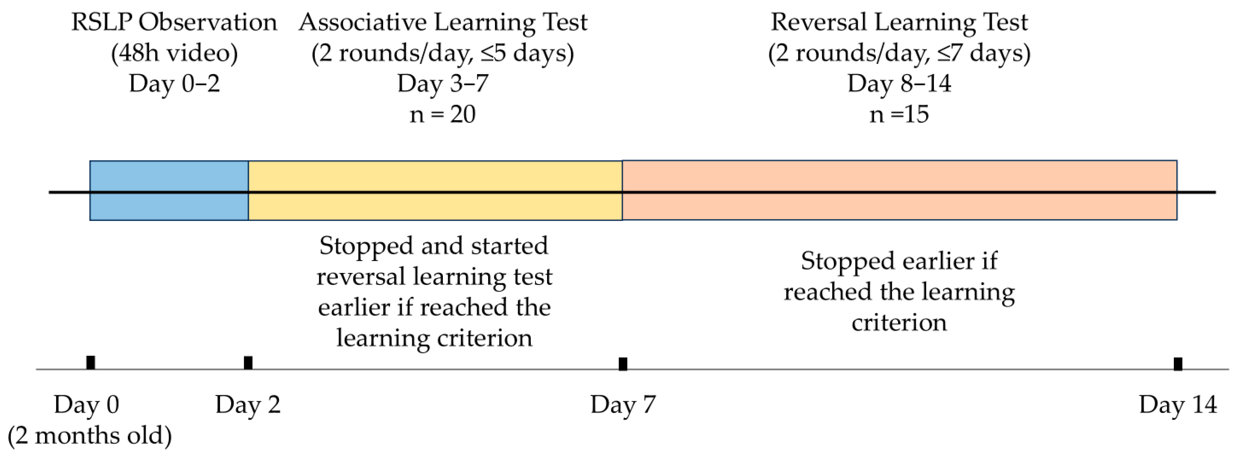 Animals 15 03438 g001