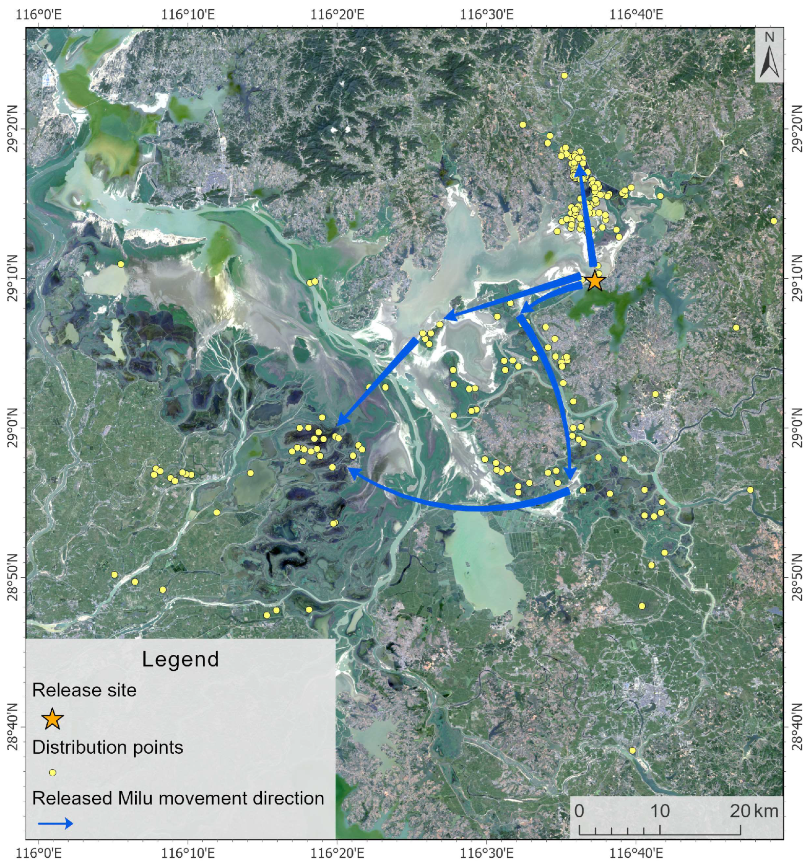 Animals 15 03446 g003 Animals 15 03446 g003