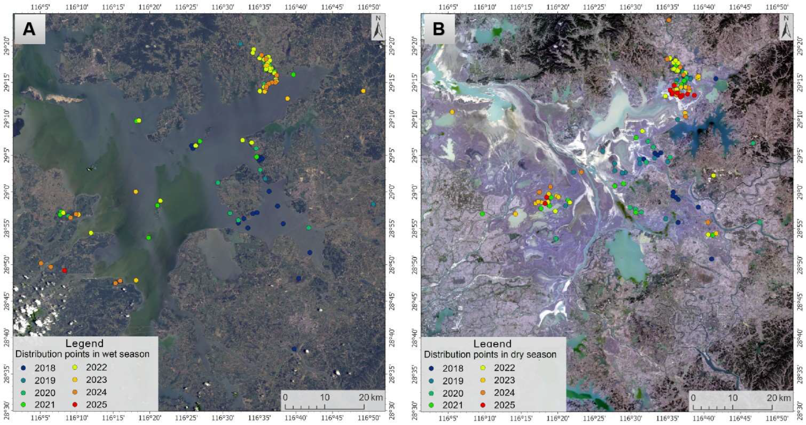 Animals 15 03446 g005 Animals 15 03446 g005
